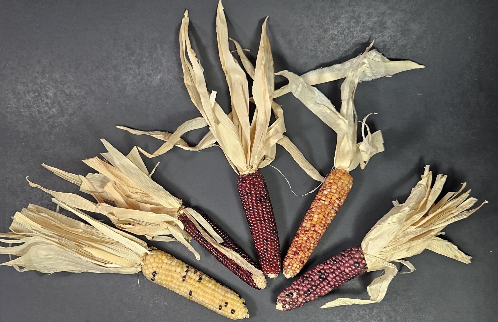 Beaded Indian Corn Cob Mix Lot Styrofoam Acrylic Yarn Thanksgiving Autumn Decor