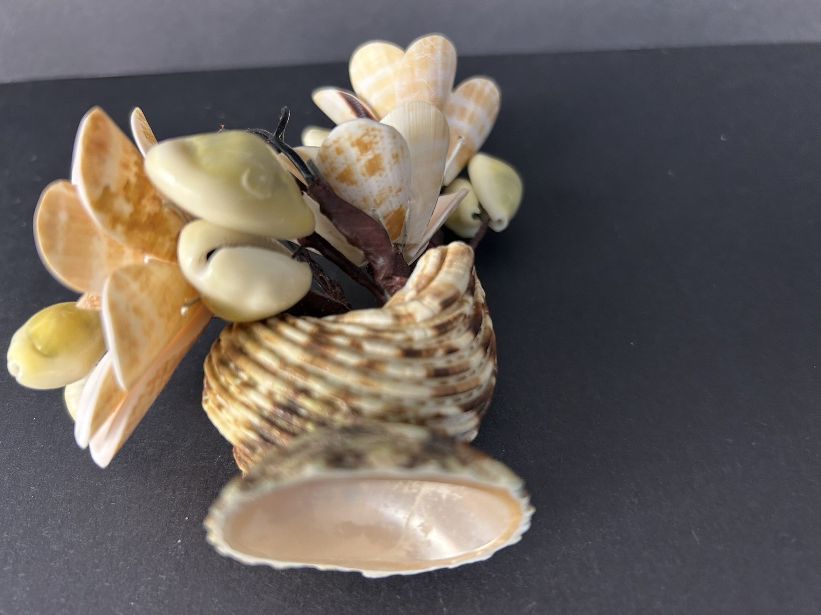 Vintage Cottagecore Kitschy Hand Made Sea Shell Floral Arrangement 6”x4”