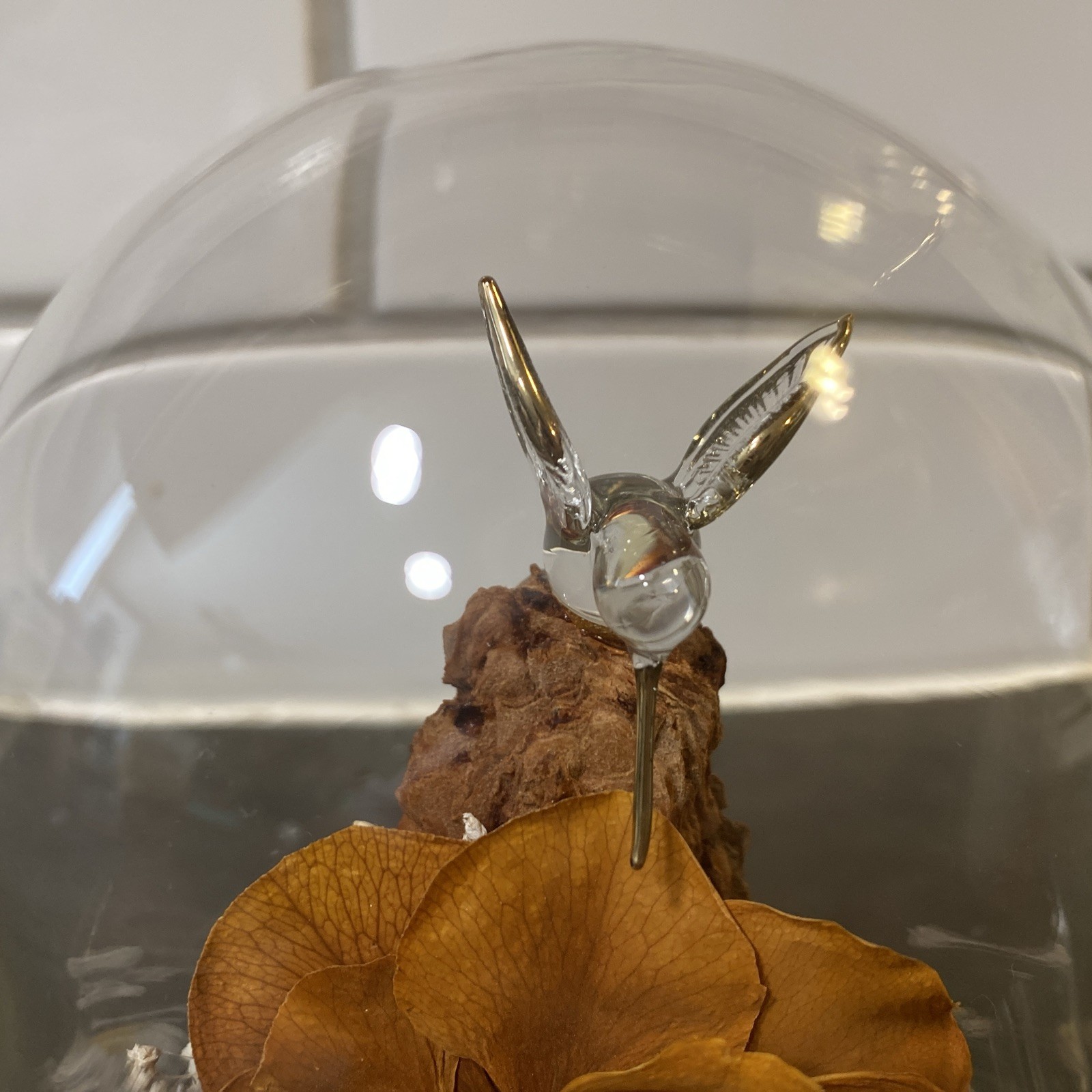 Colorado Naturals Dried Rose Floral Glass Dome Display with Glass Humming Bird