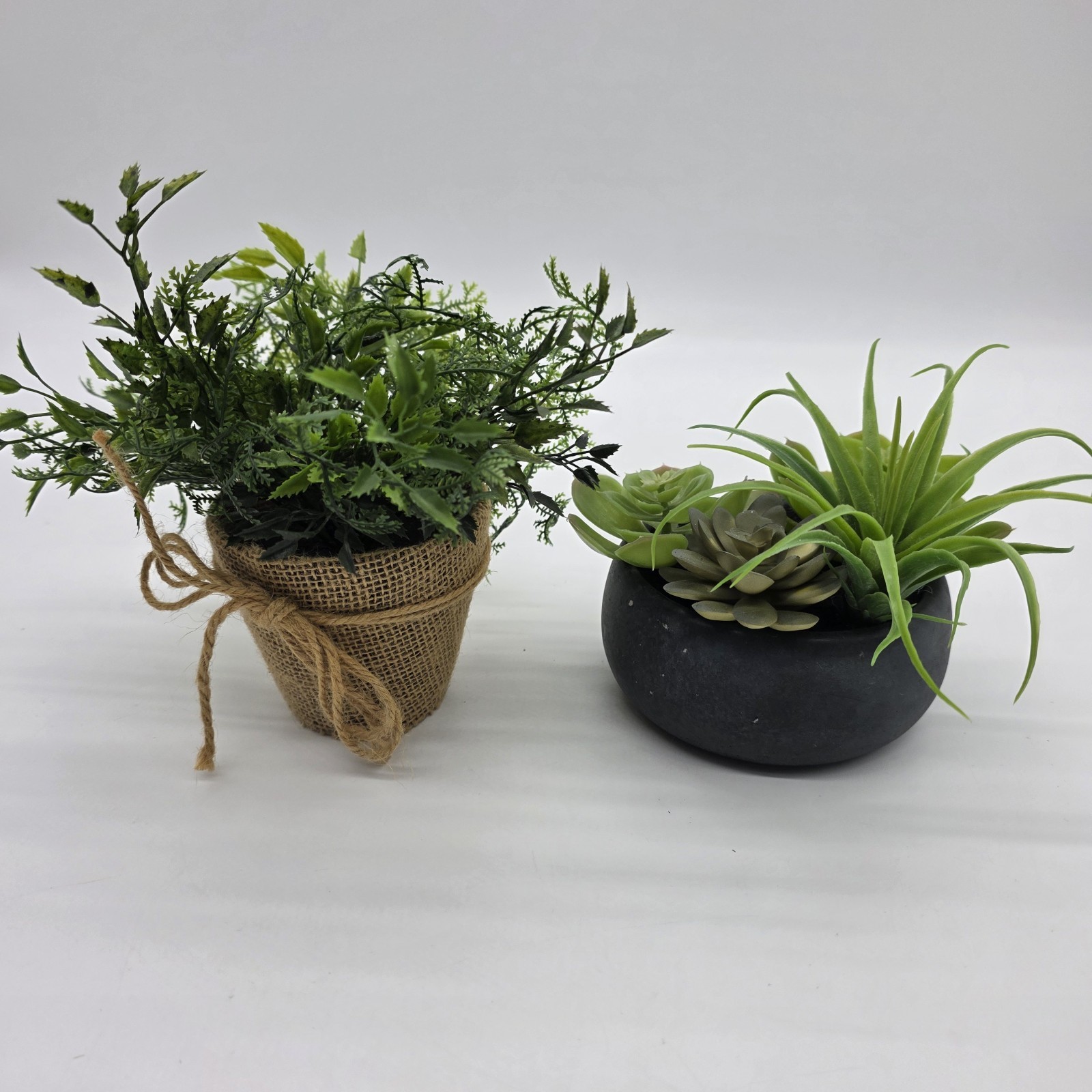 Set of 2 Artificial Potted Plants Faux Greenery Succulent & Fern Home Decor