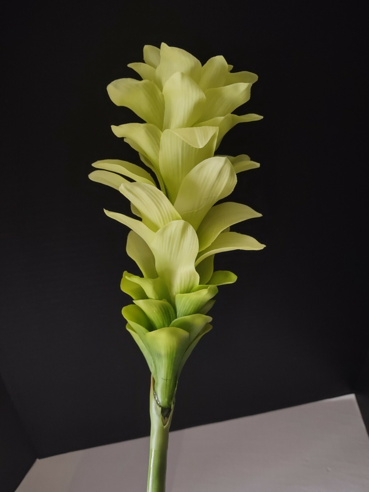 Ginger lily stem. Silk arrangements tropical Hawaiian flowers Lime Green