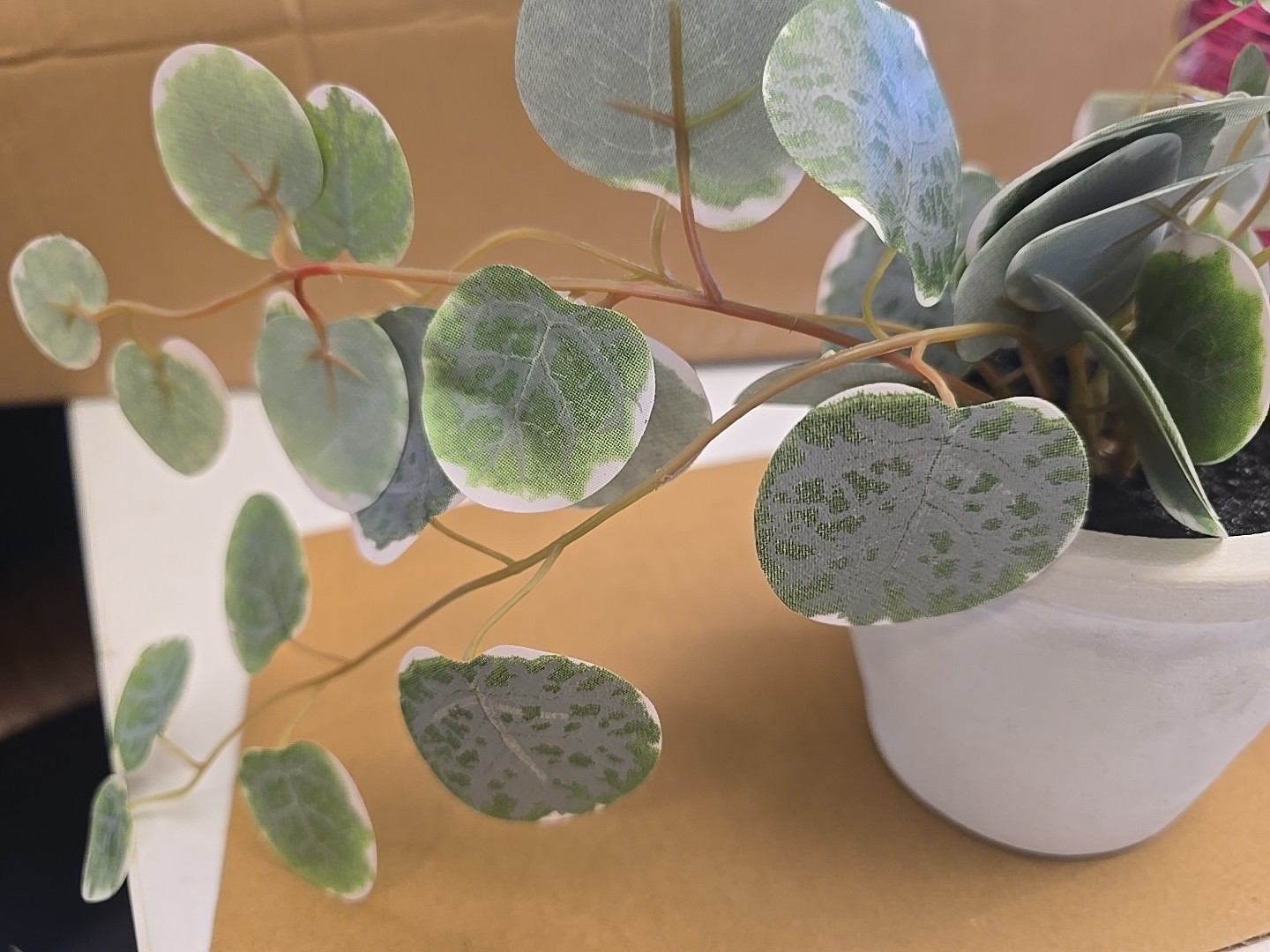 13100 Threshold Potted Veragated Plant Faux 7” Decorative Indoor Plant New