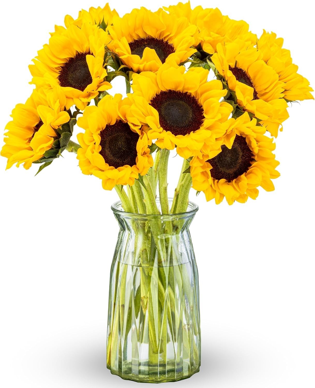 Sunflower Gift Bouquet with Vase 10 Stems for Sympathy and Congratulations