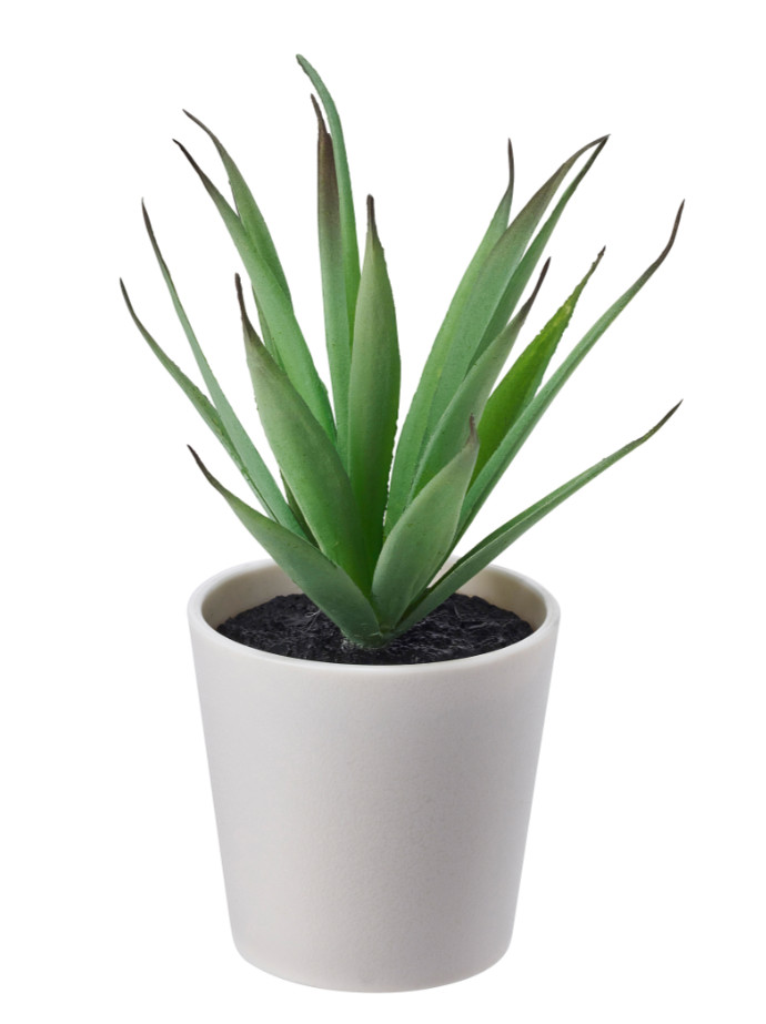 IKEA FEJKA Artificial Potted Plant With Pot, In/Outdoor Succulent, 6 cm,2 23/64″