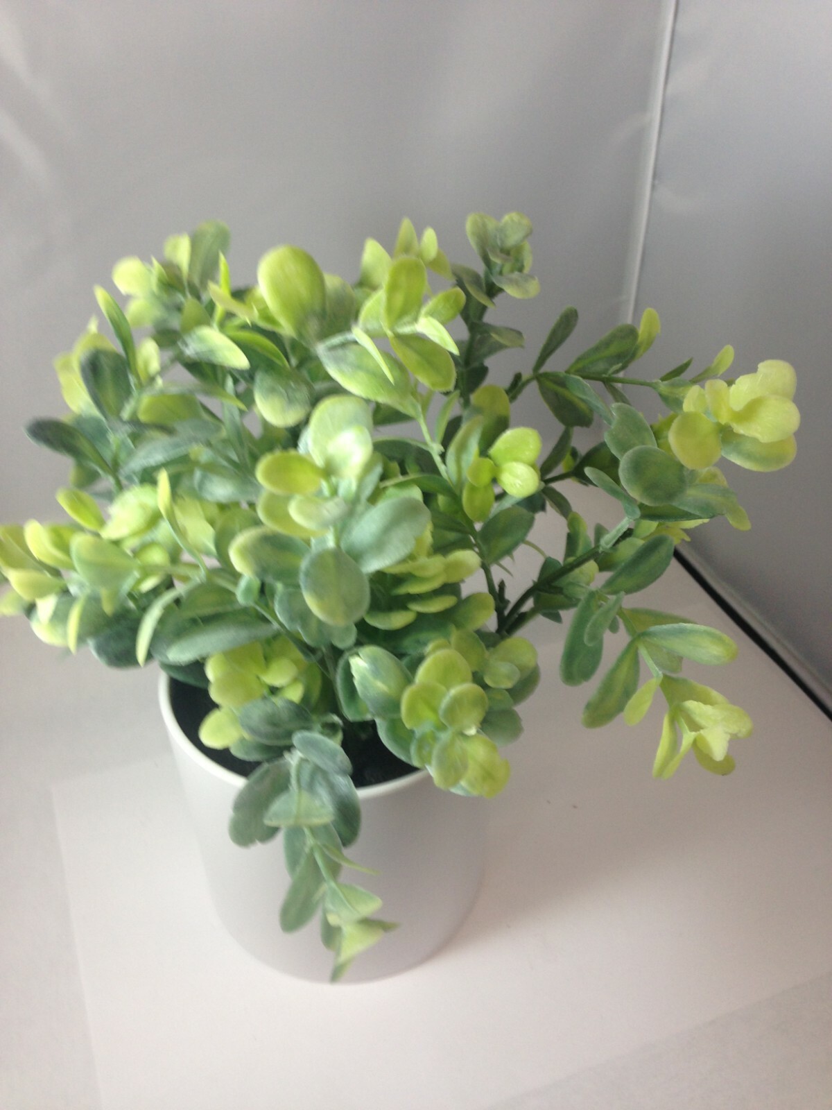 10″ x 4″ Artificial Plant Arrangement in Pot Green/White – Project 62