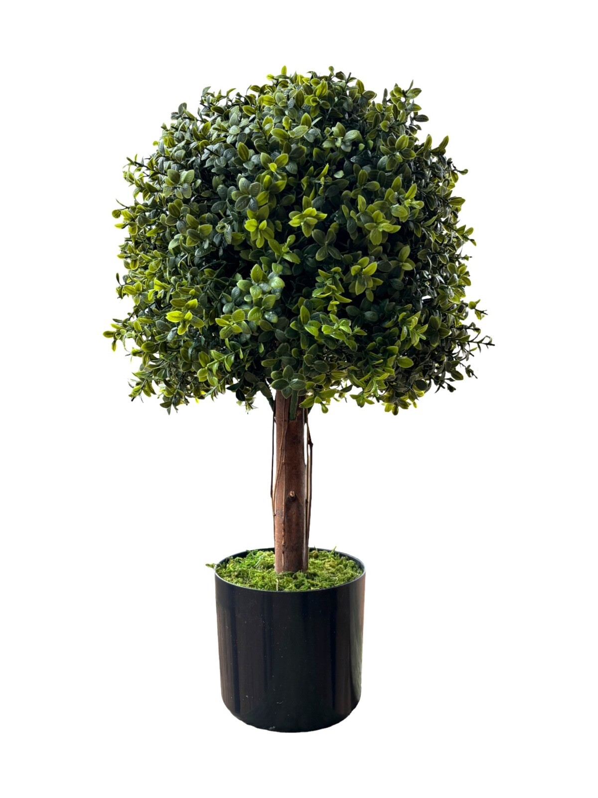 Wildwood & Cypress 24” Realistic Topiary Boxwood Tree w/ Wood Trunk Outdoor Faux
