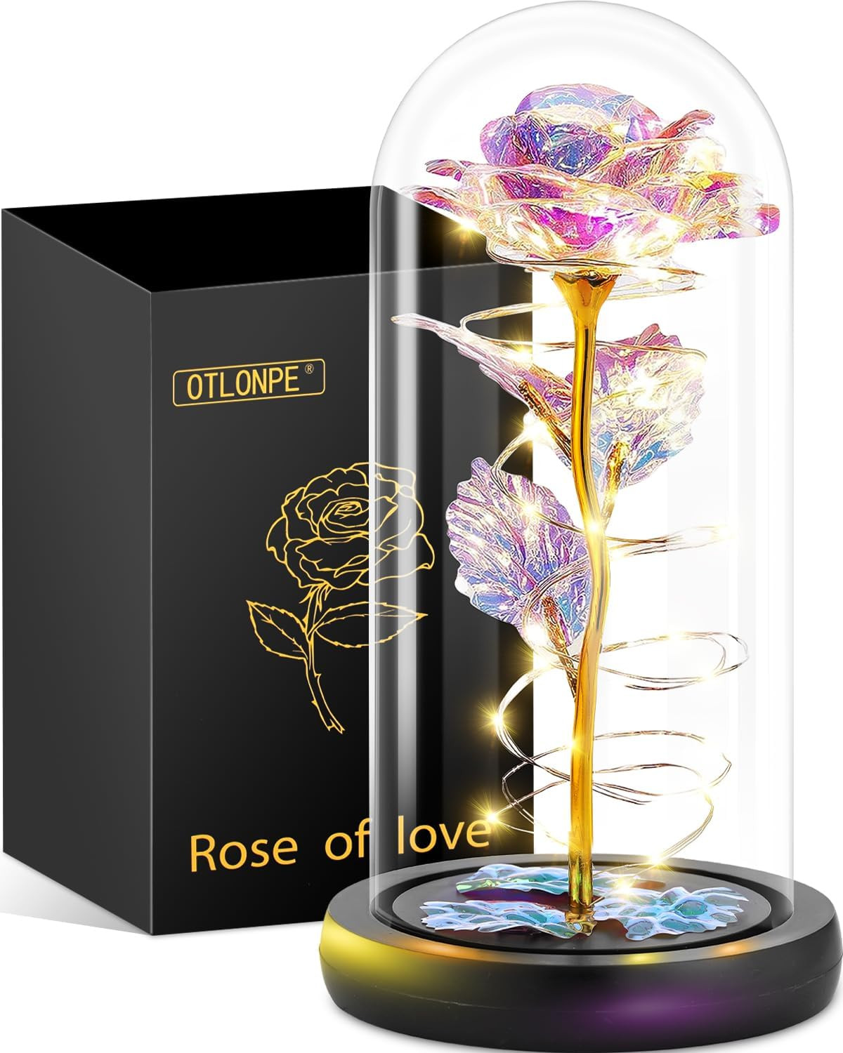 Otlonpe Preserved Forever Valentines Day Flower Gifts for Her, Glass Light up Ro