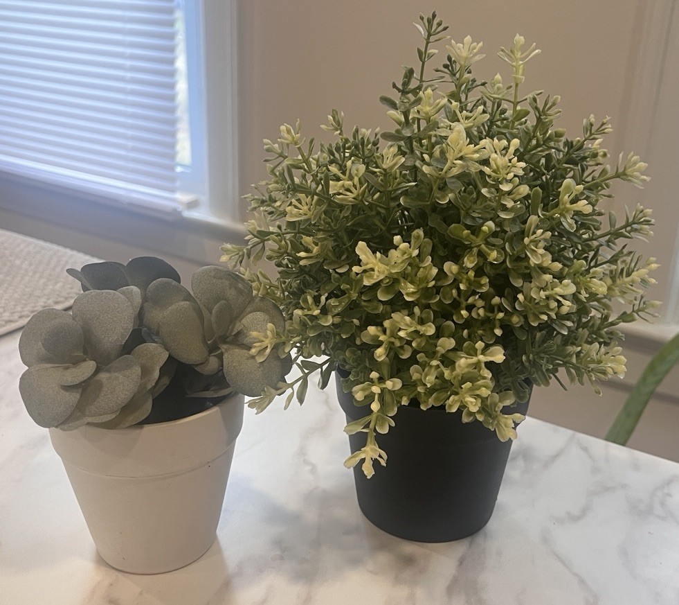 Artificial Plants Set of 2 • Home Decorations