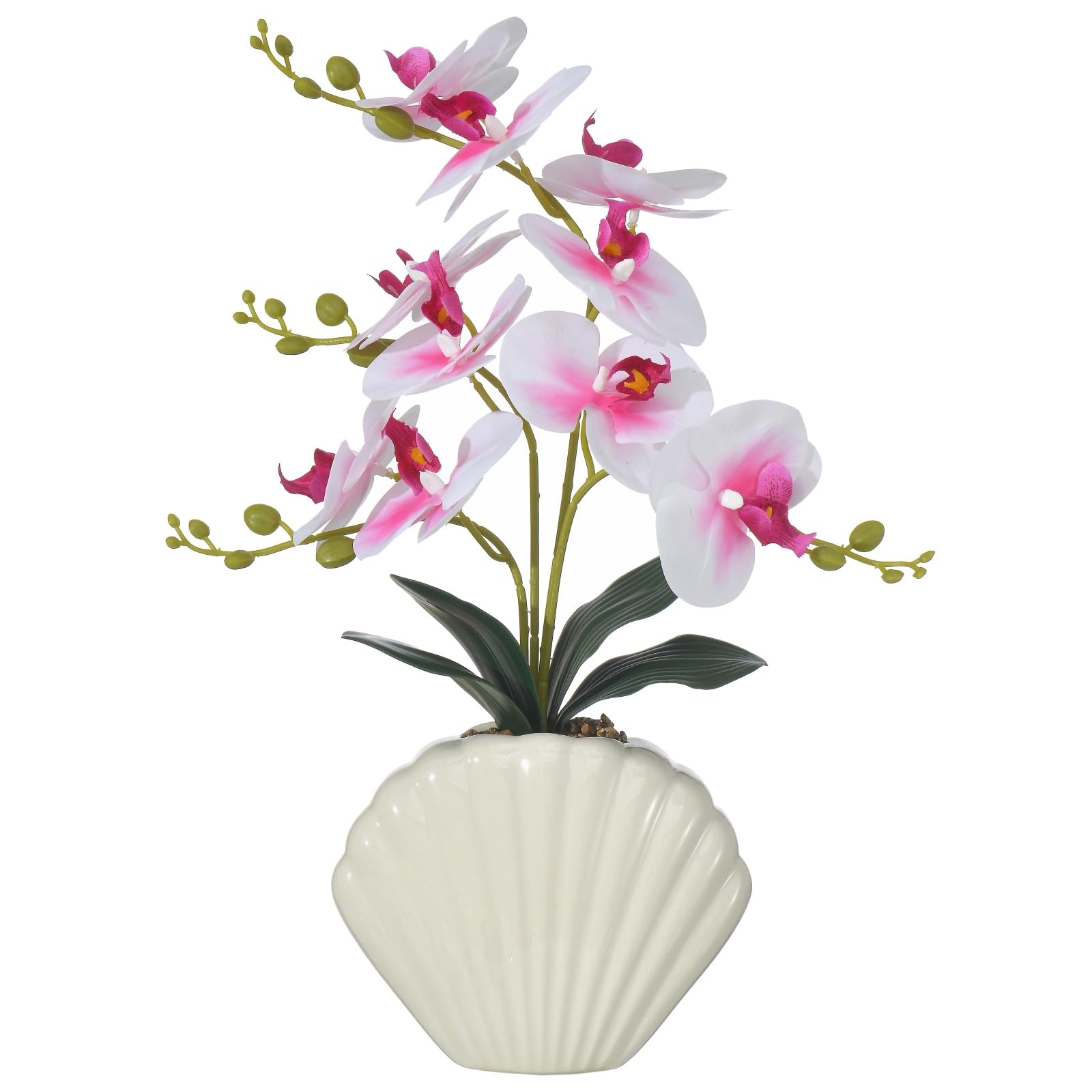 16 Inch Artificial Phalaenopsis Silk Orchid Plant Seashell Pot White Pink