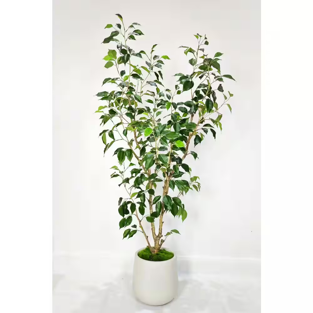 5 Ft. Artificial Ficus Tree in White Decor Pot, Faux Green Plant Indoor Home Dec