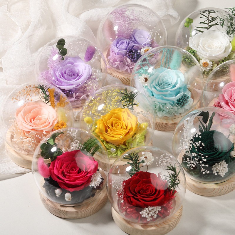 Long-Lasting Real Rose Flower, Unique Preserved Floral Gift for All Occasions