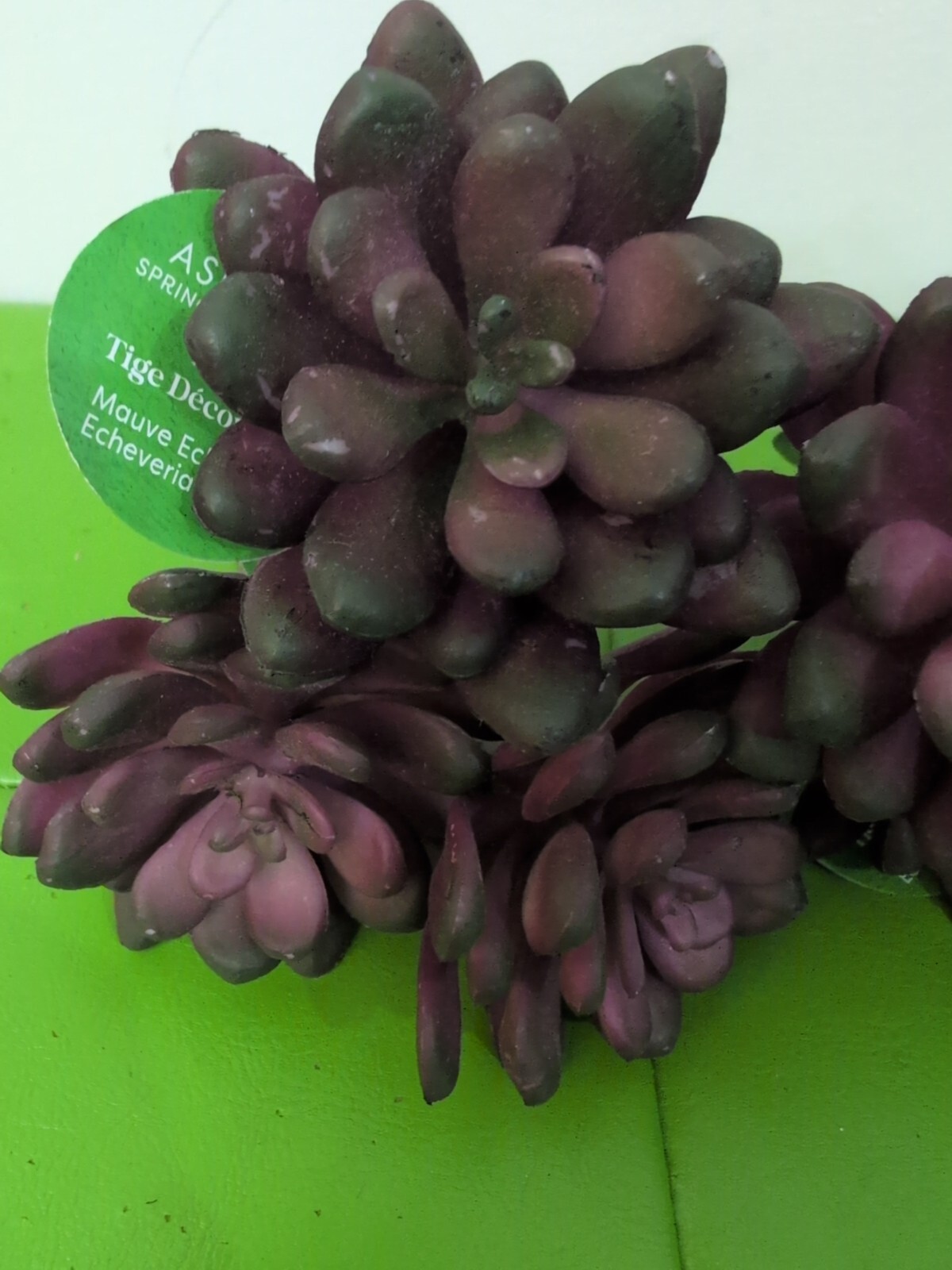Artificial Mauve Succulents Echeveria (7) Picks Spring