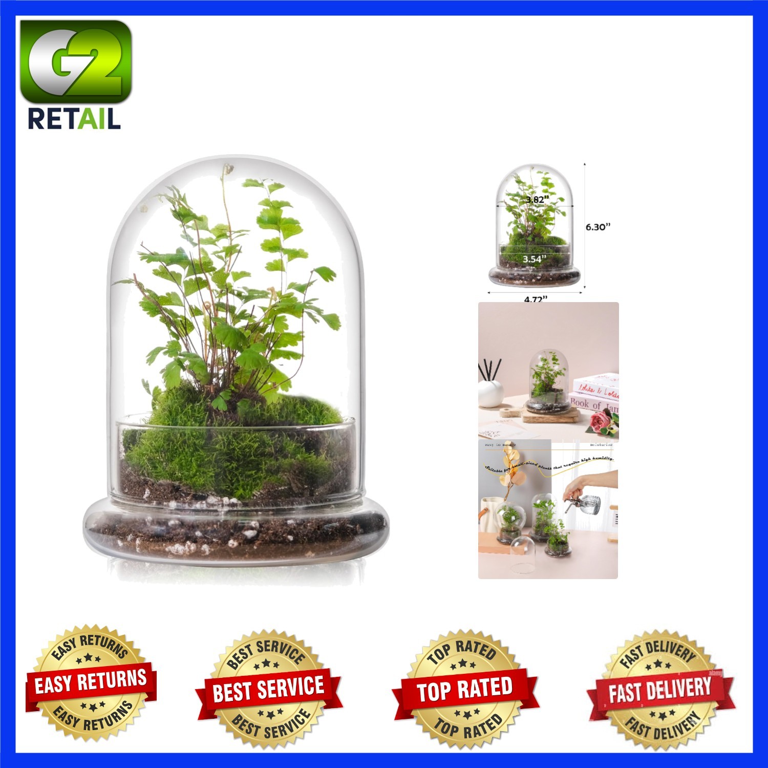 Versatile Glass Terrarium Dome with Base – Ideal for Home and Office Decor