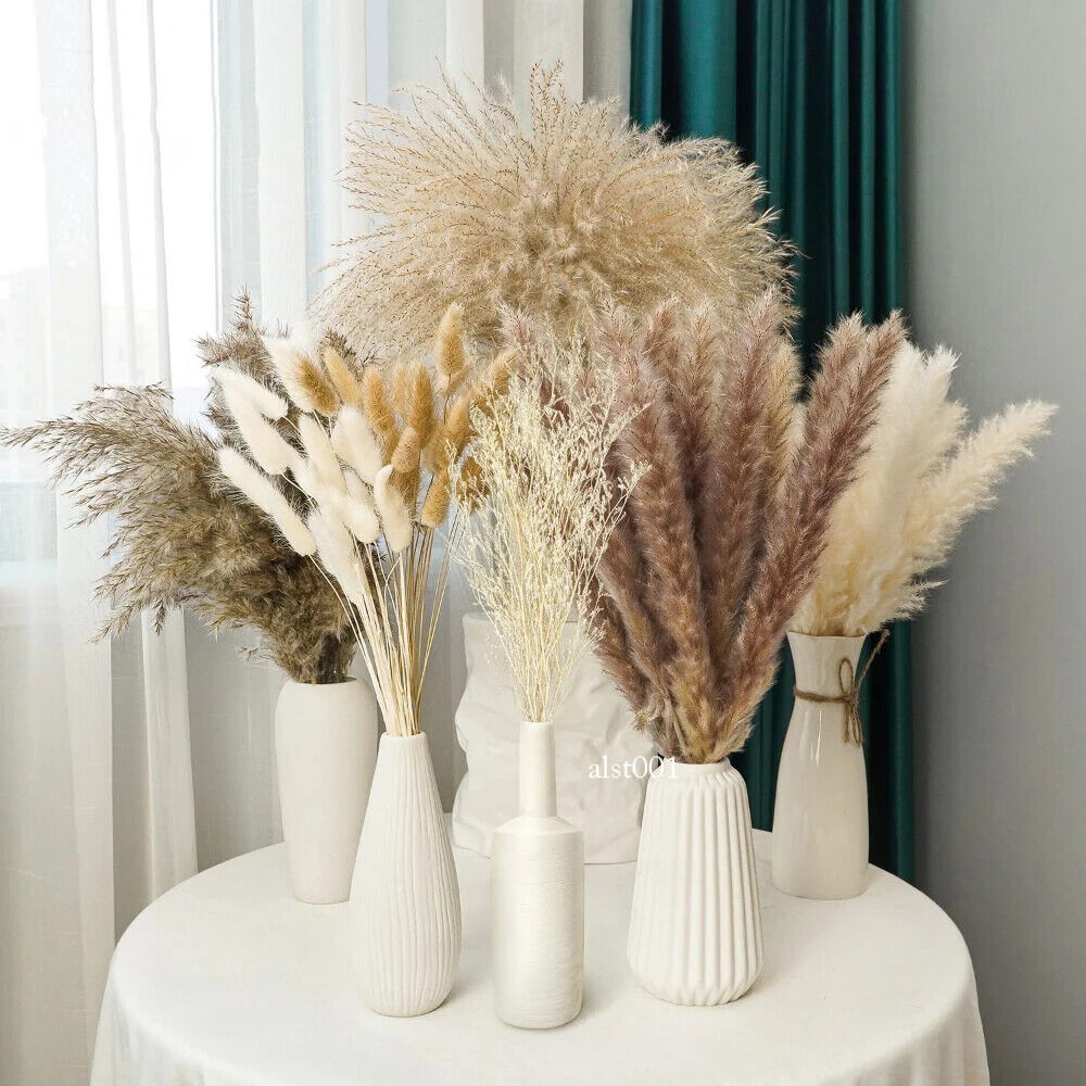 Grass Decor Home Decor Bouquet Natural Fluffy Dried Flowers for Wedding Floral