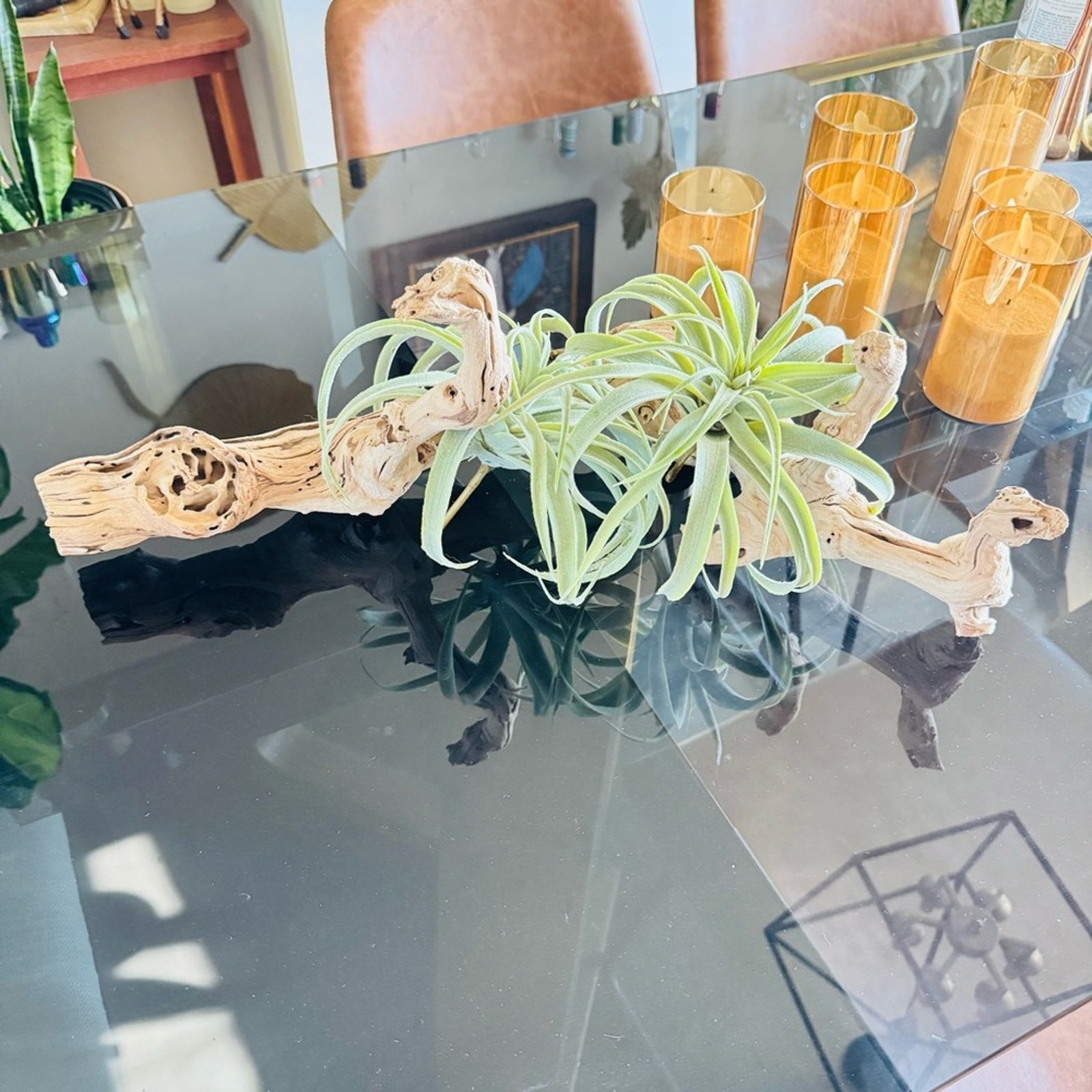 NEW POTTERY BARN Soft Mint Green Faux Air Plant Tillandsia Table Decor Display