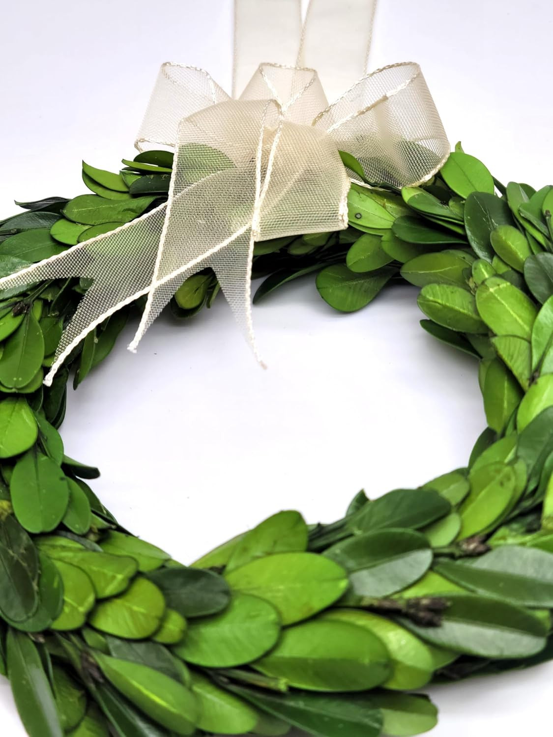 Preserved Boxwood Wreath 6 In