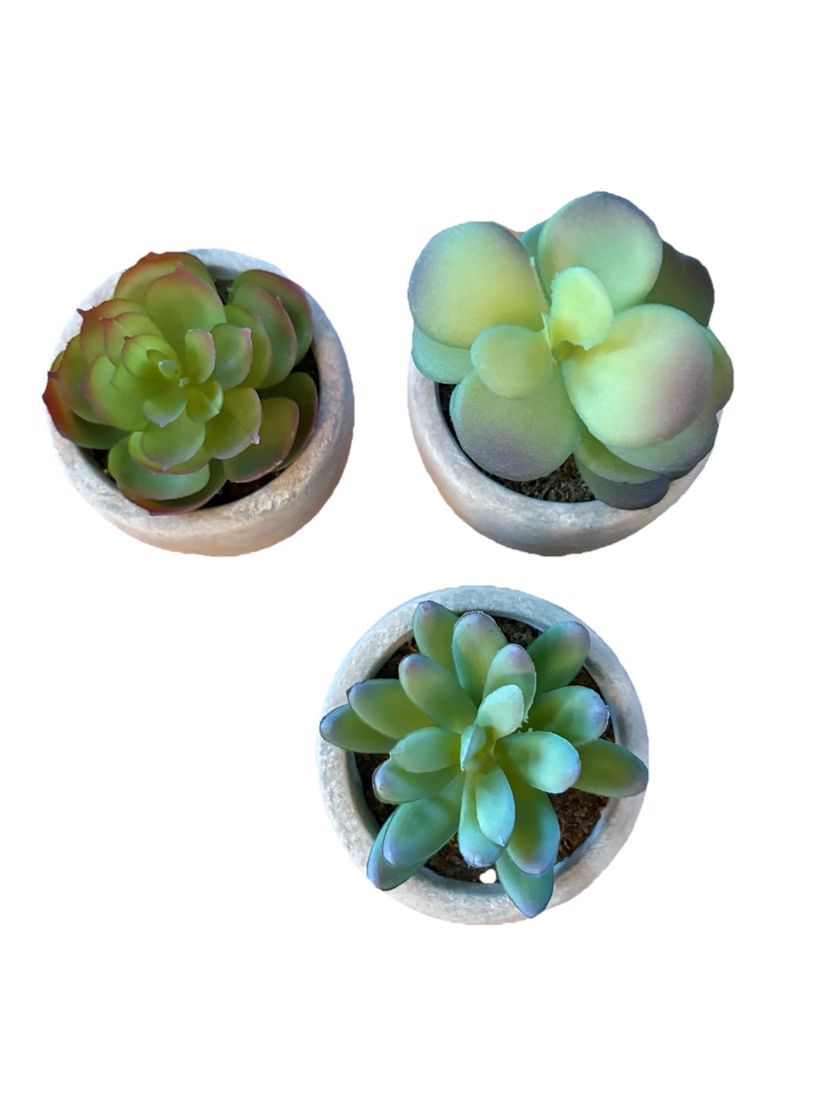 Set of Three Faux Succulents In Ceramic Pots 4 – 5.5 Inches Tall New Never Used