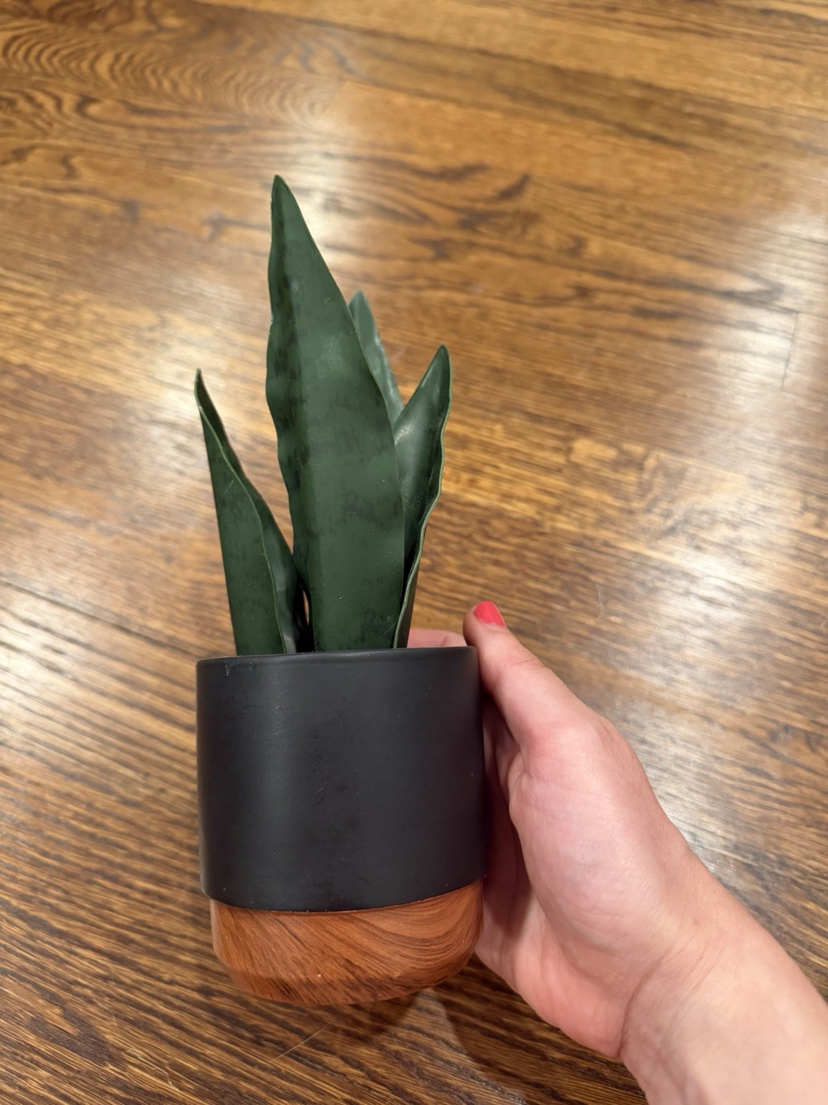 Artificial Snake Plant Houseplant in Black Pot w/ Wood Base, Pebbles, 8 in