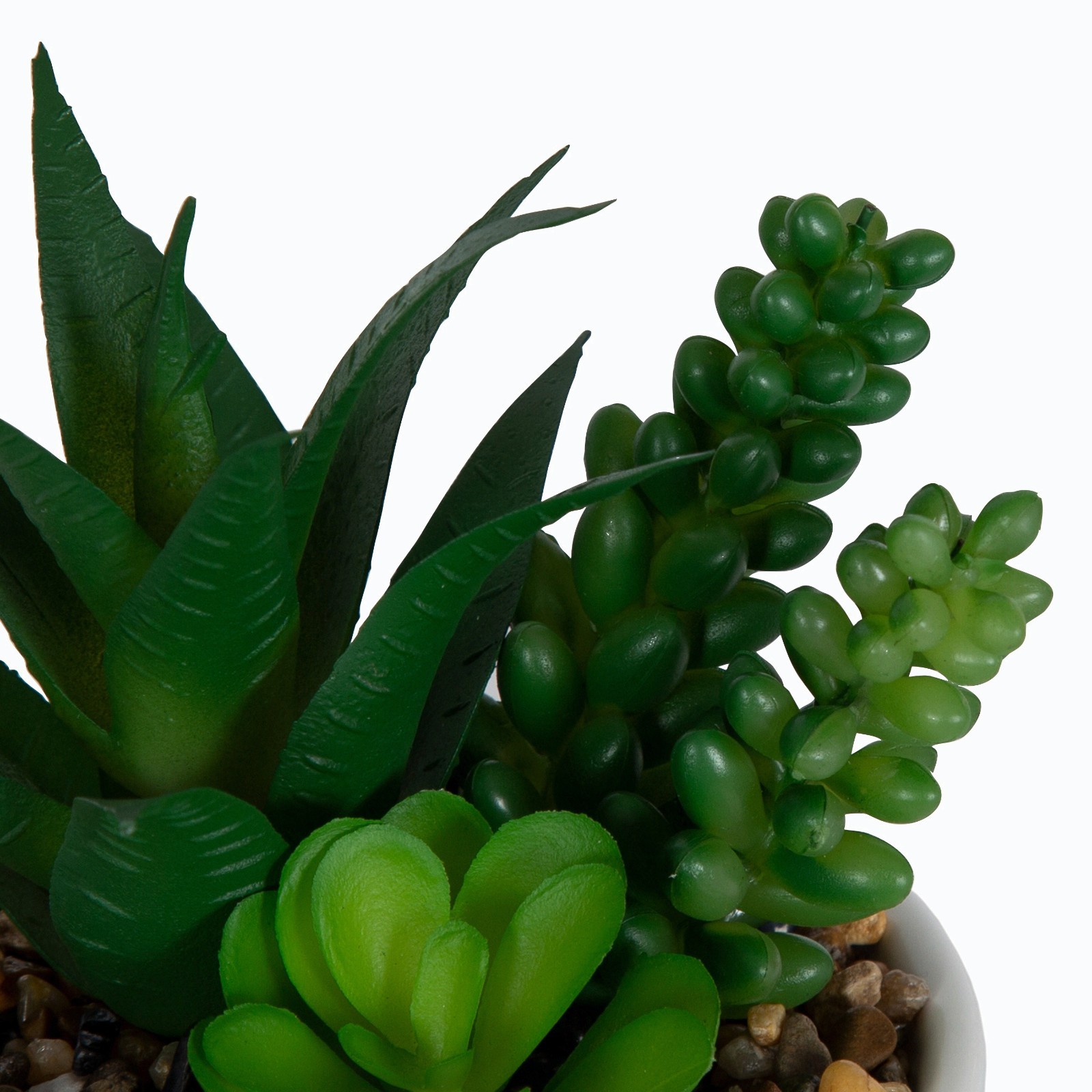 6-pack 6.5″ Artificial Agave and Sedum Succulents in Ceramic Planter, Multicolor