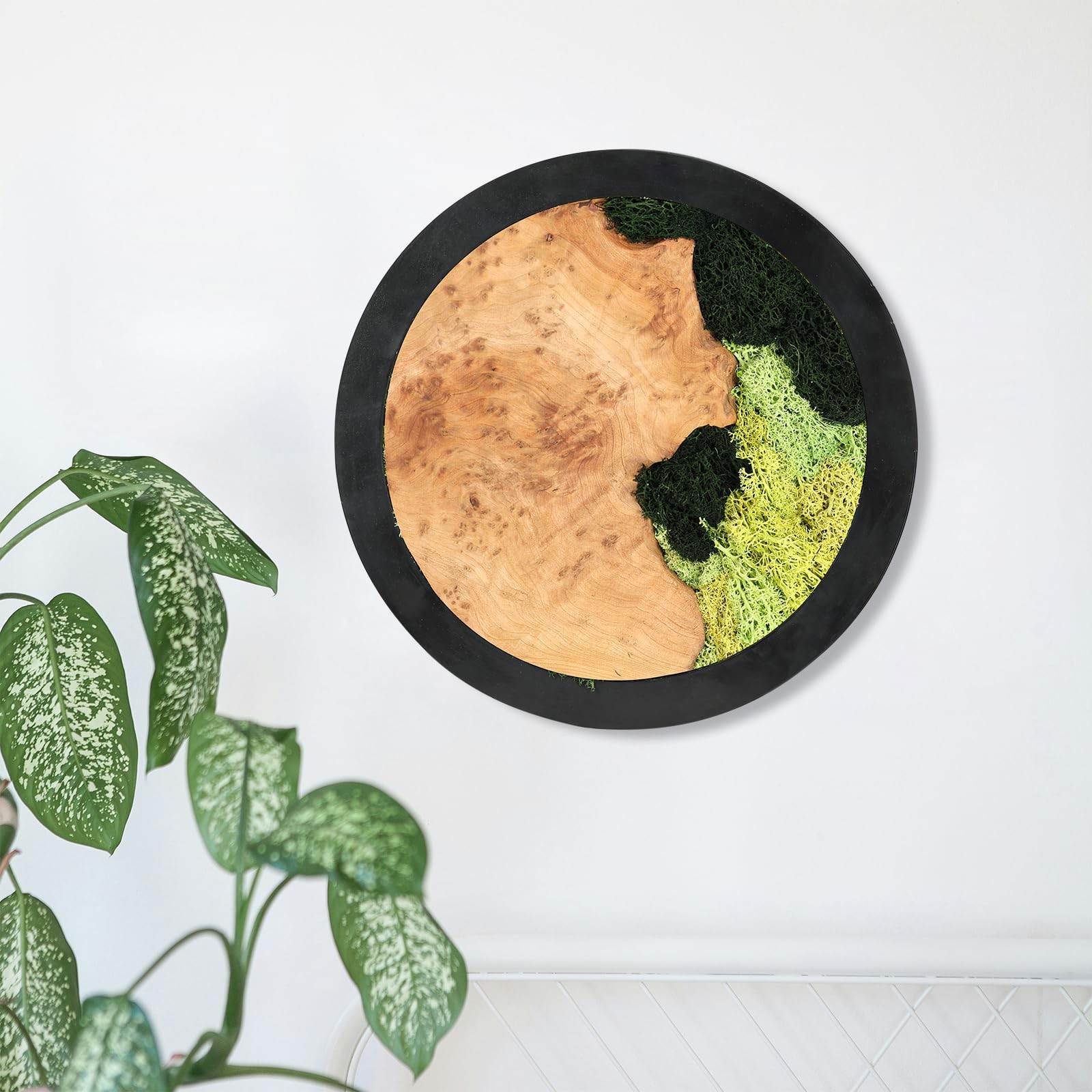 Natural Preserved Moss Wall Art Rustic Handcrafted Wood Wall Hanging No