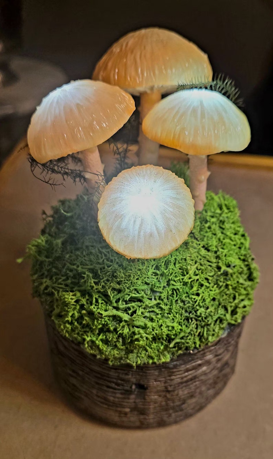 Mushroom “Fungi” Table Light Battery Operated Whimsical Cottagecore