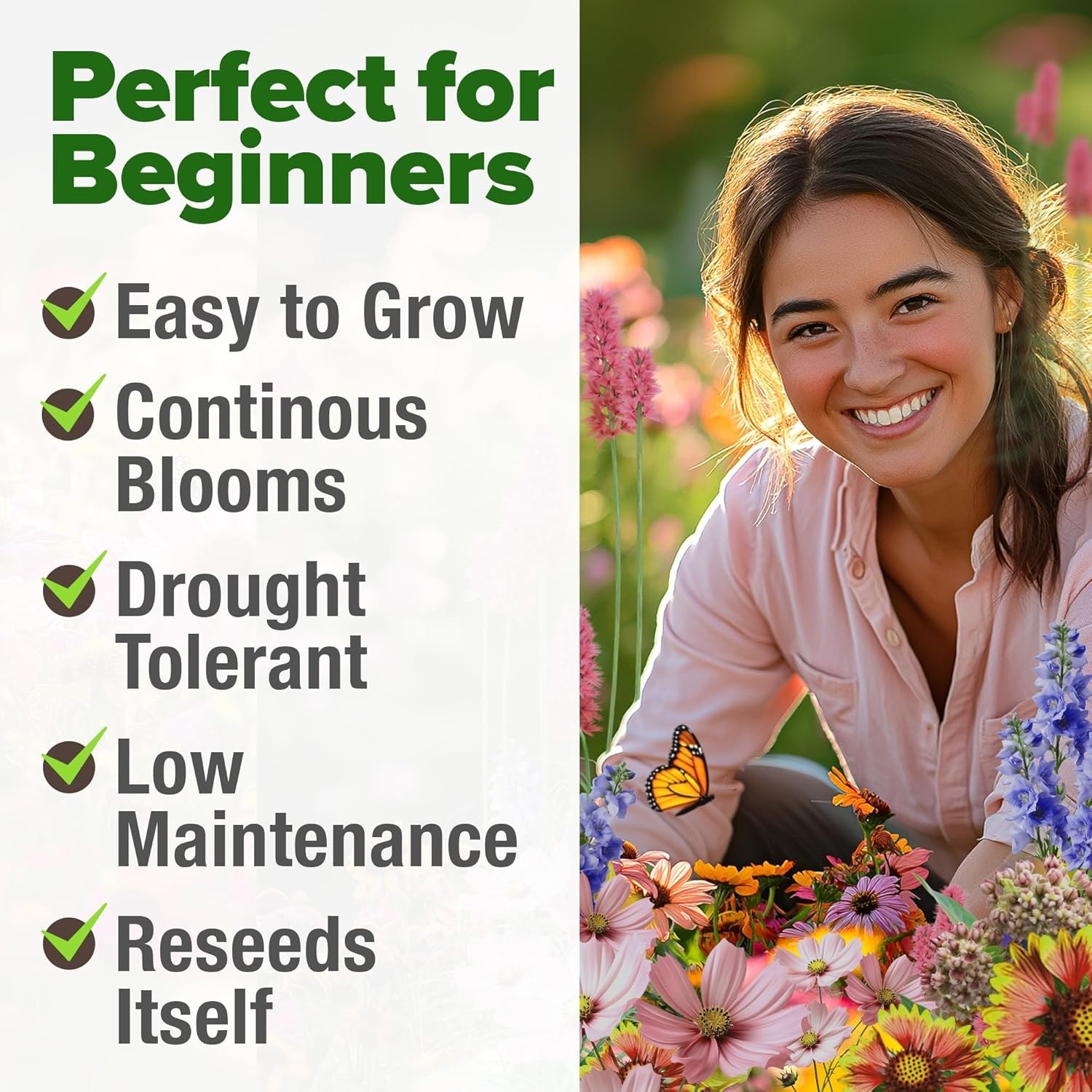 20000+ Wildflower Seeds Mix 2oz – 14 Varieties Non-GMO Milkweed for Monarchs