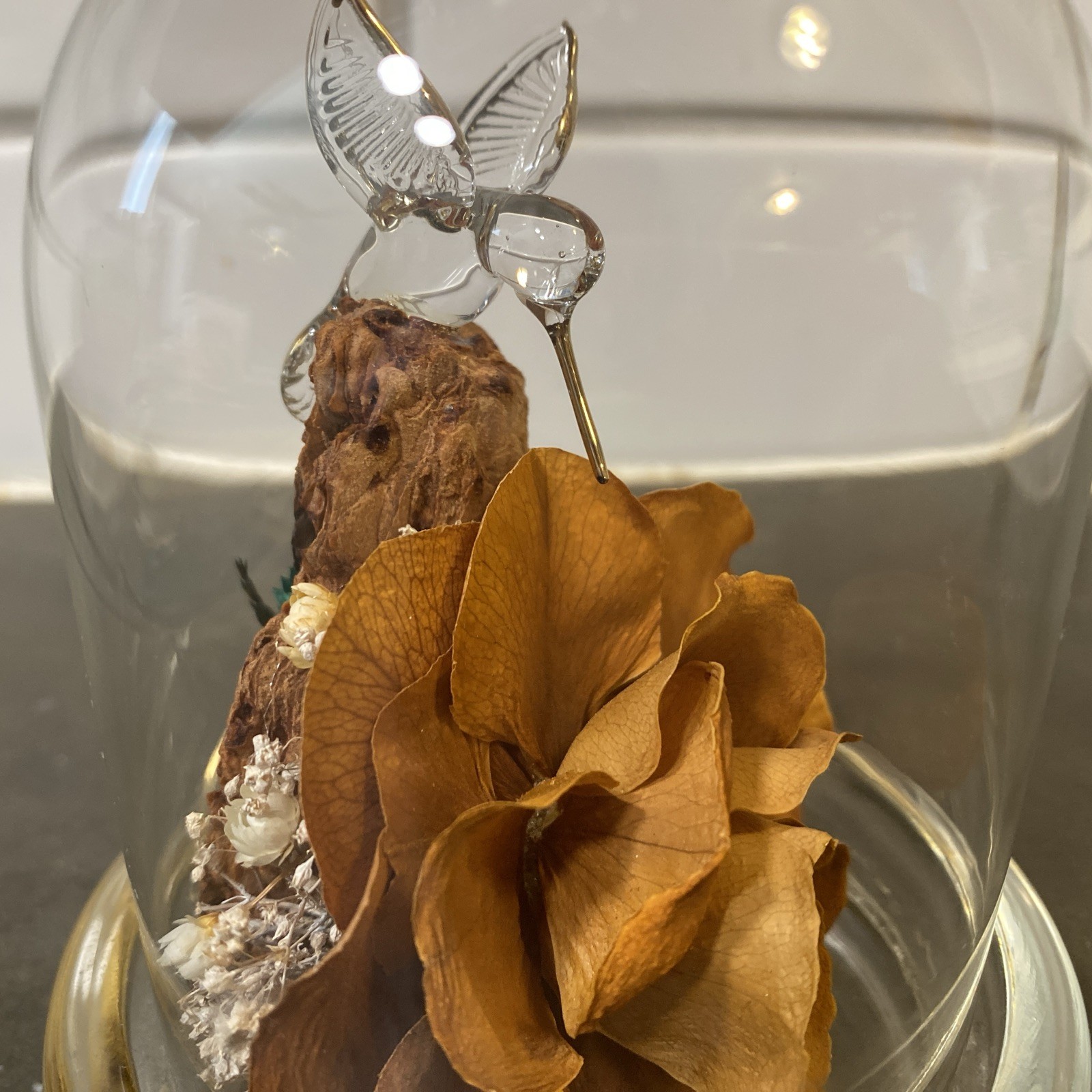 Colorado Naturals Dried Rose Floral Glass Dome Display with Glass Humming Bird