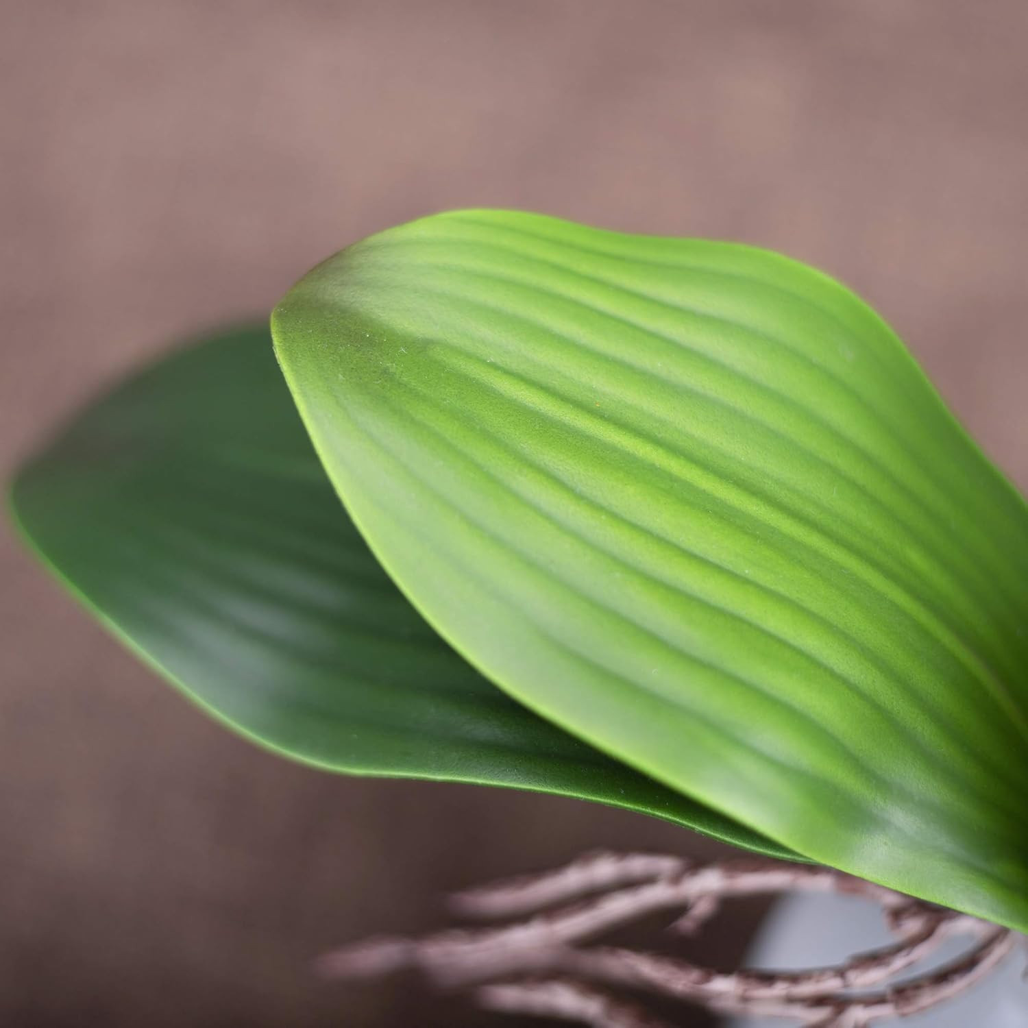 Faux Orchid Leaves Artificial Phalaenopsis Leaf Bulk 10 Inches 2Pcs Real Touch L