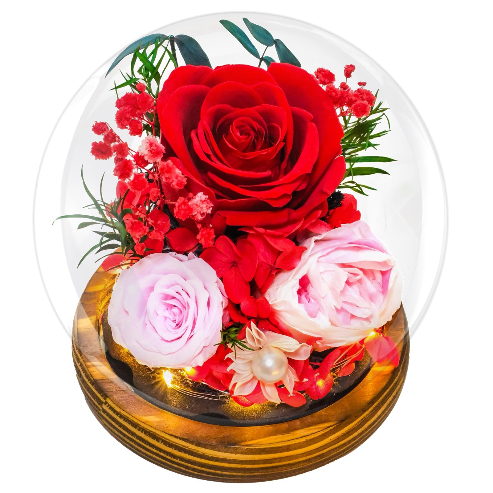 Preserved Red Roses in Glass Dome – Eternal Flowers, Forever Roses with LED L…