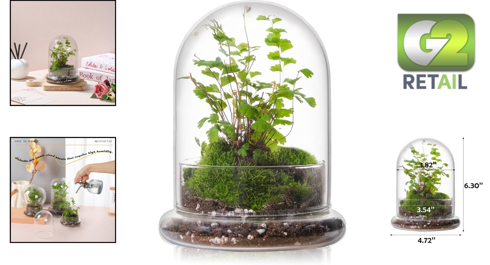 Versatile Glass Terrarium Dome with Base – Ideal for Home and Office Decor