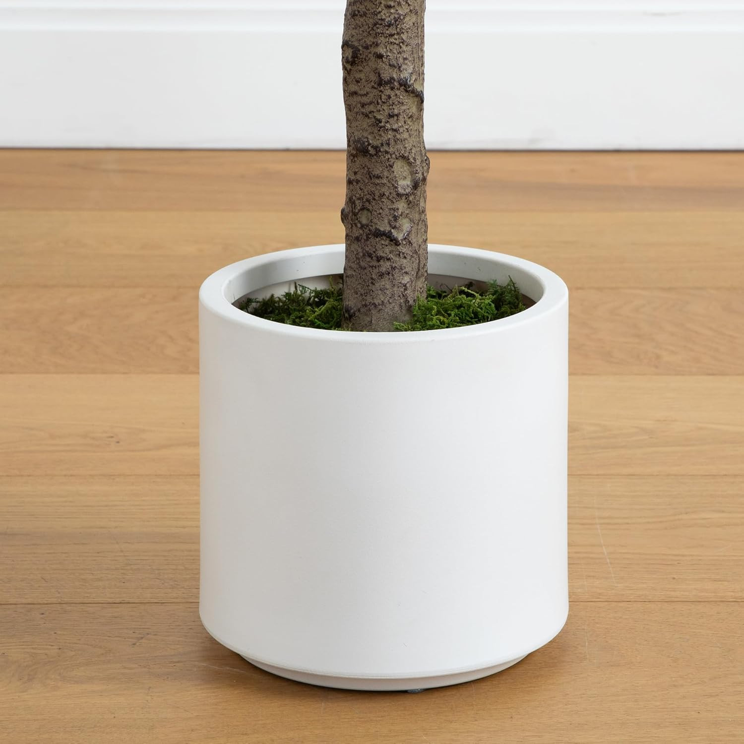 6Ft Jacaranda Artificial Tree in White Decorative Planter – Bendable Branches