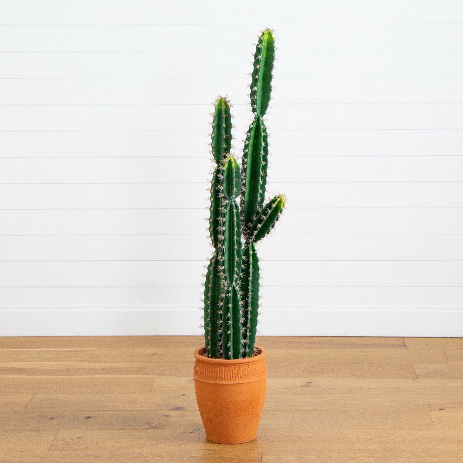 5’ Artificial Cactus in Terracotta Planter Home Decor. Retail $224