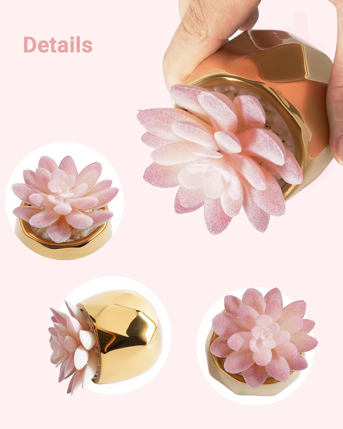 Elegant Mini Succulent Plants in Pink & Gold Ceramic – Perfect for Indoor Decor