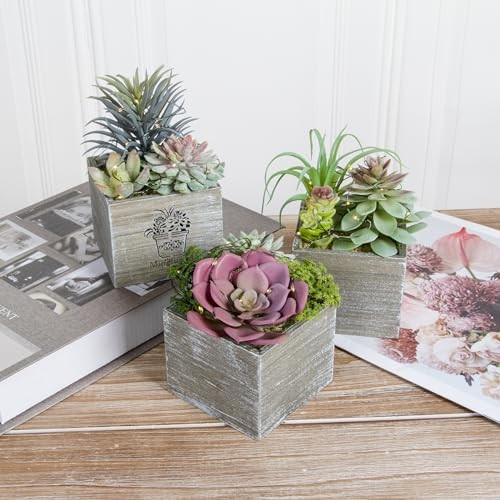 Small Fake Plants, 3 Packs Mini Succulent Plants Artificial with Morning Mist
