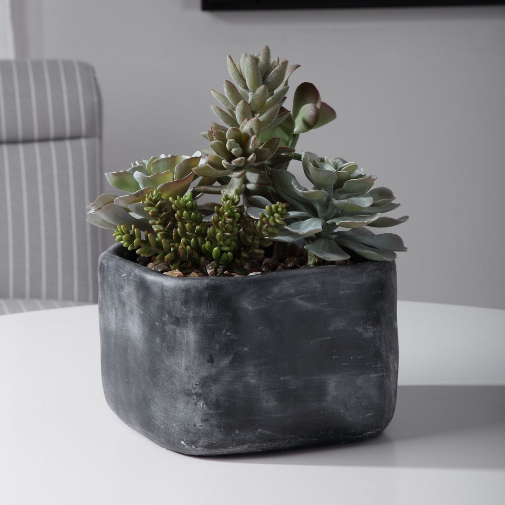 Glendower Crescent – 10 inch Desert Garden Succulents – Decor – Planters –