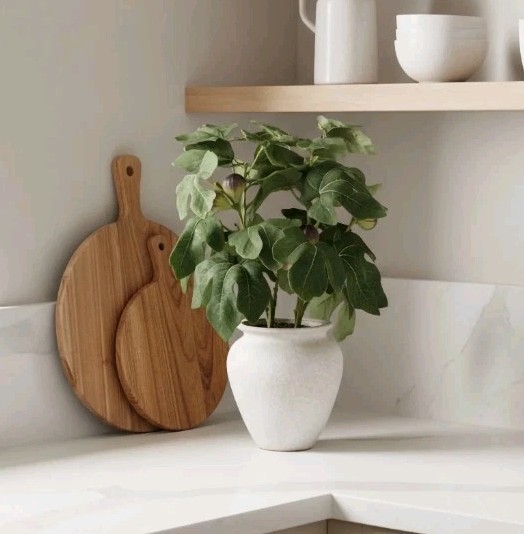 Better Homes & Gardens Artificial Fig Leaf in Tan Ceramic Vase, 13″