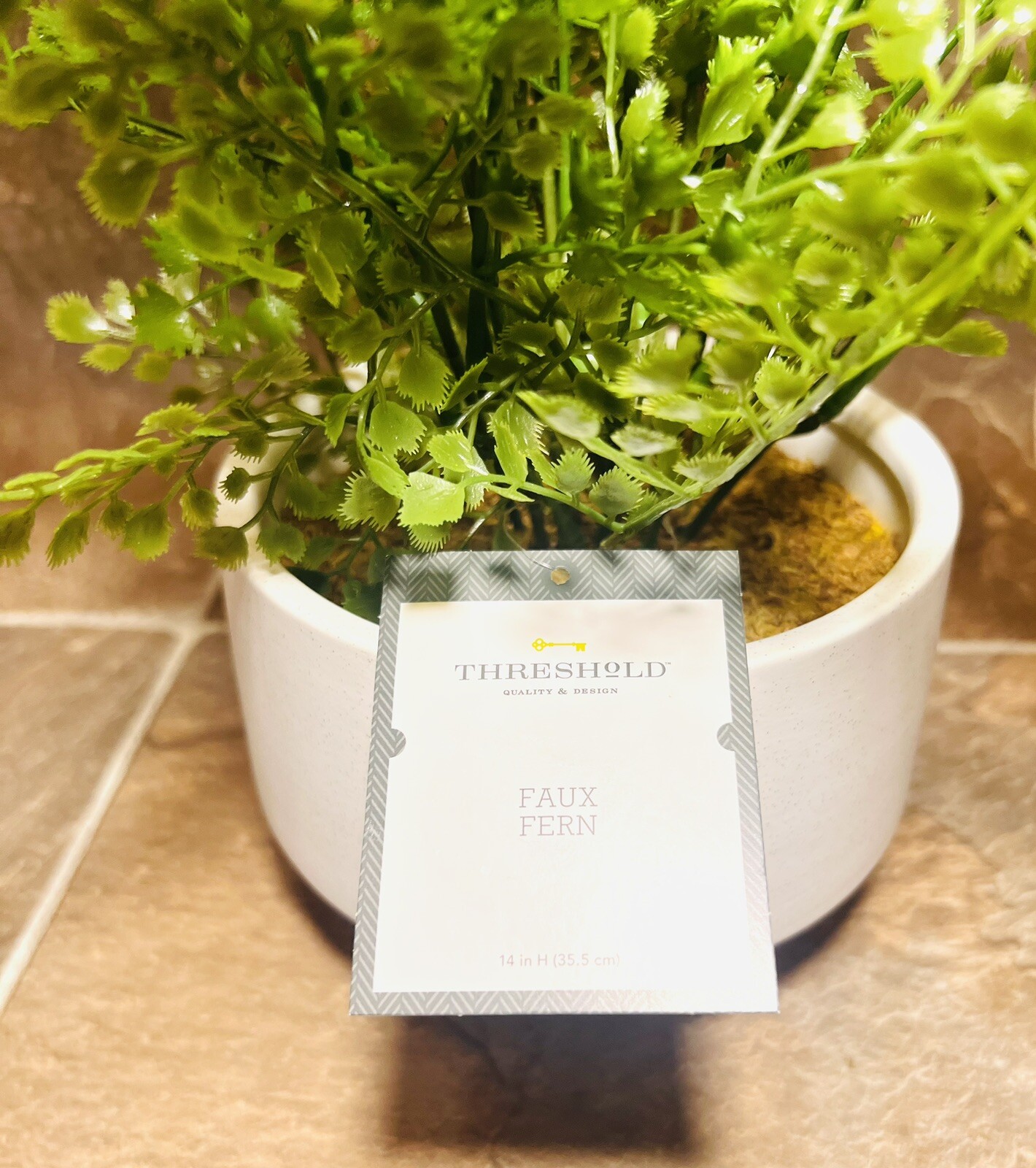 Threshold 14” Faux Fern Modern Ceramic Pot Artificial Arrangement – New