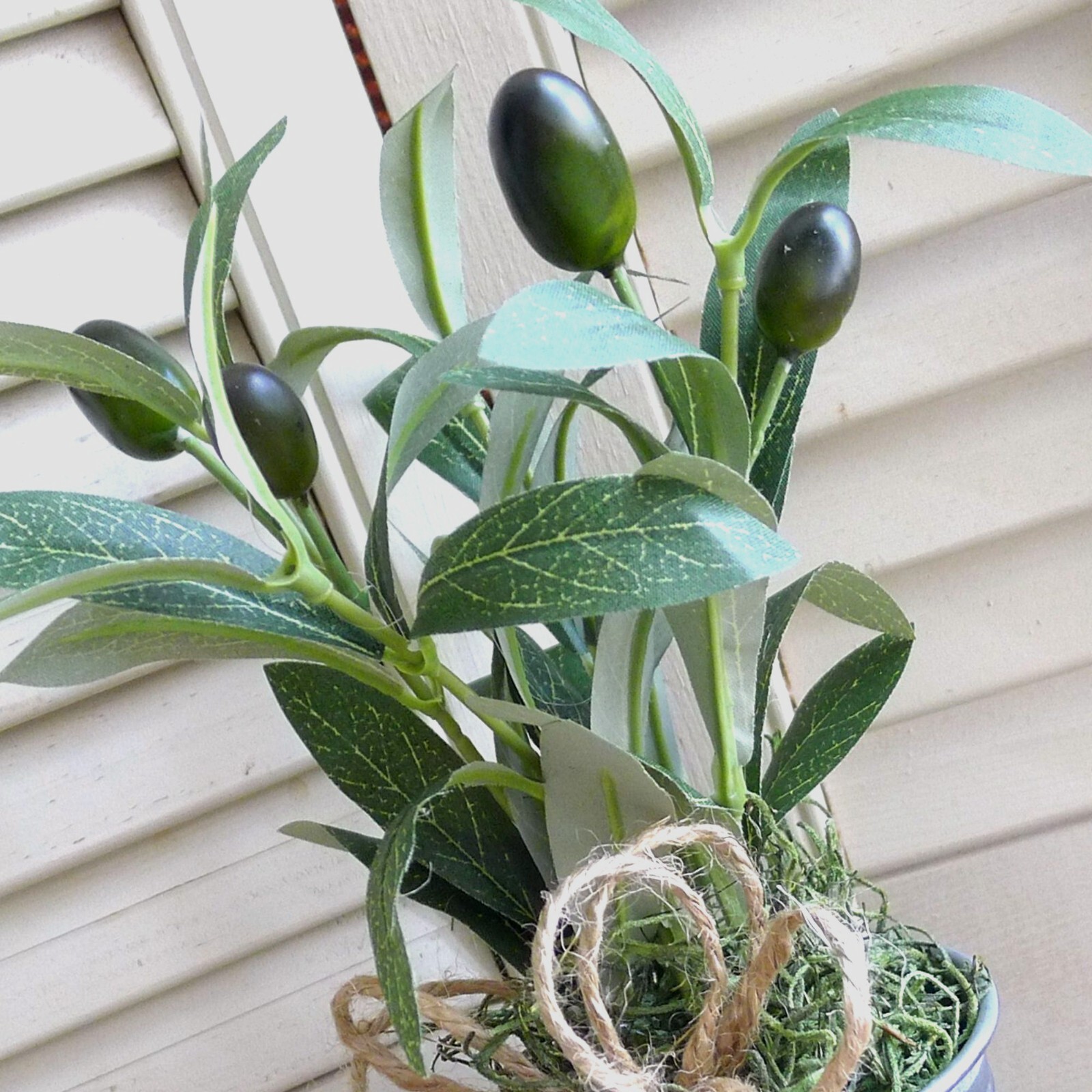 Olive Tree Branch Small Arrangement for Home Office Dining Restaurant Prop Decor