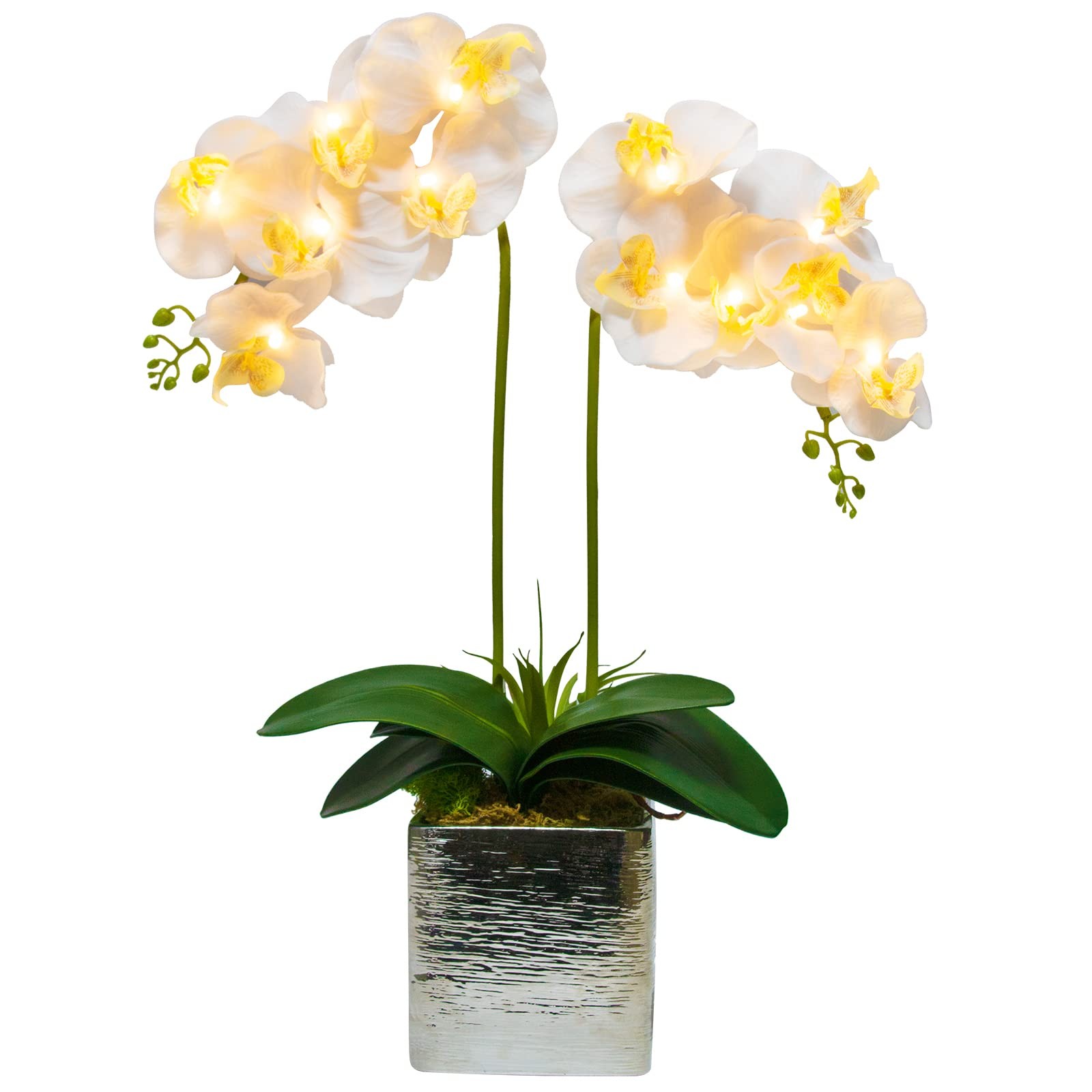 HOMESEASONS Orchid Lamp-LED Lighted Orchid Arrangements,Pre Lit Artificial Or…