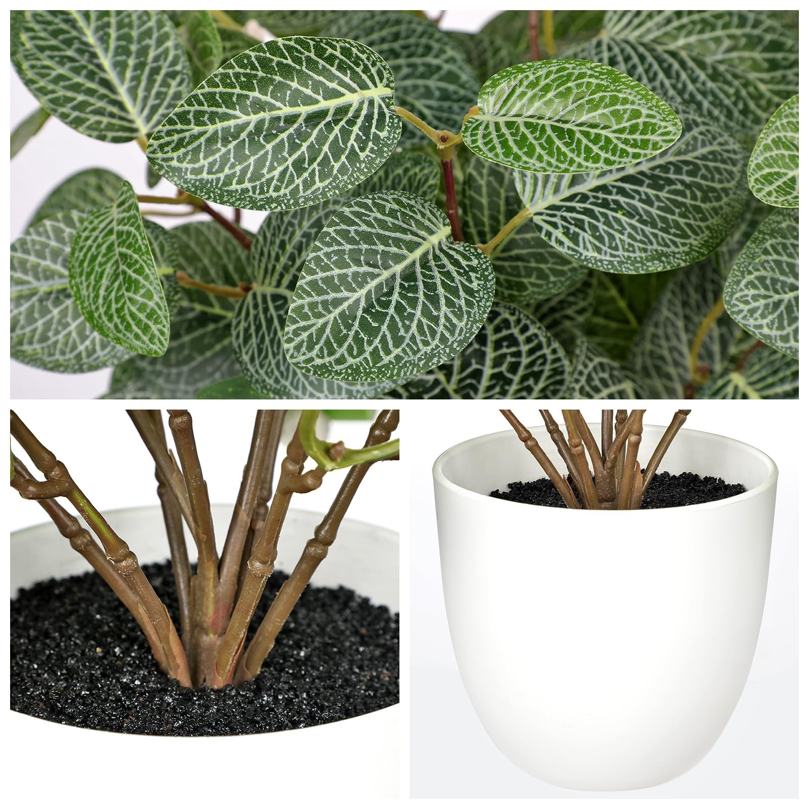 Artificial Fittonia Plants in White Pot – 15.7″ Fake Nerve Plant Indoor Silk …