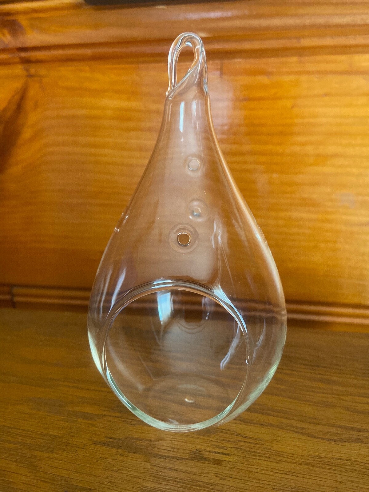Glass Airplant Plant Terrarium Vessel Clear Teardrop Container Rustic Jute NEW!