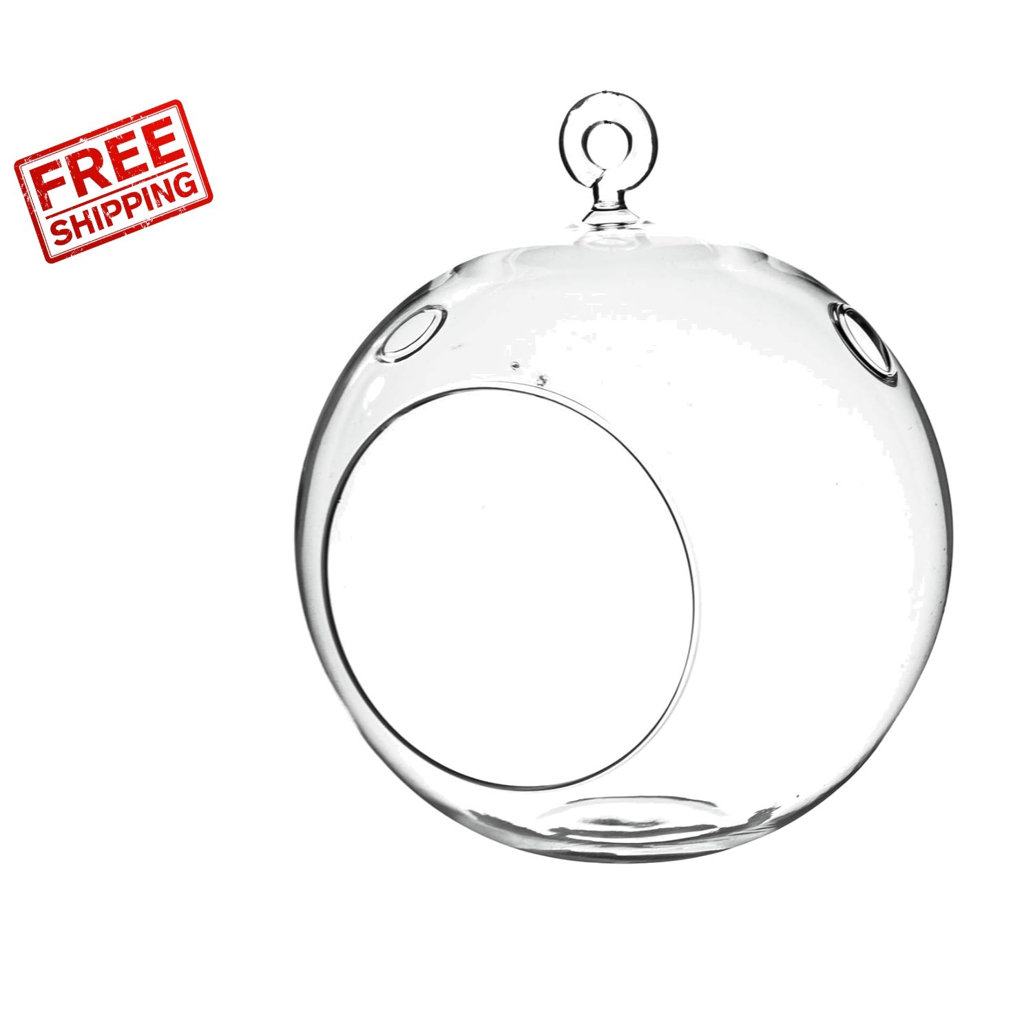 Versatile 6″ Glass Terrarium Globe – Perfect for Succulents and Candles