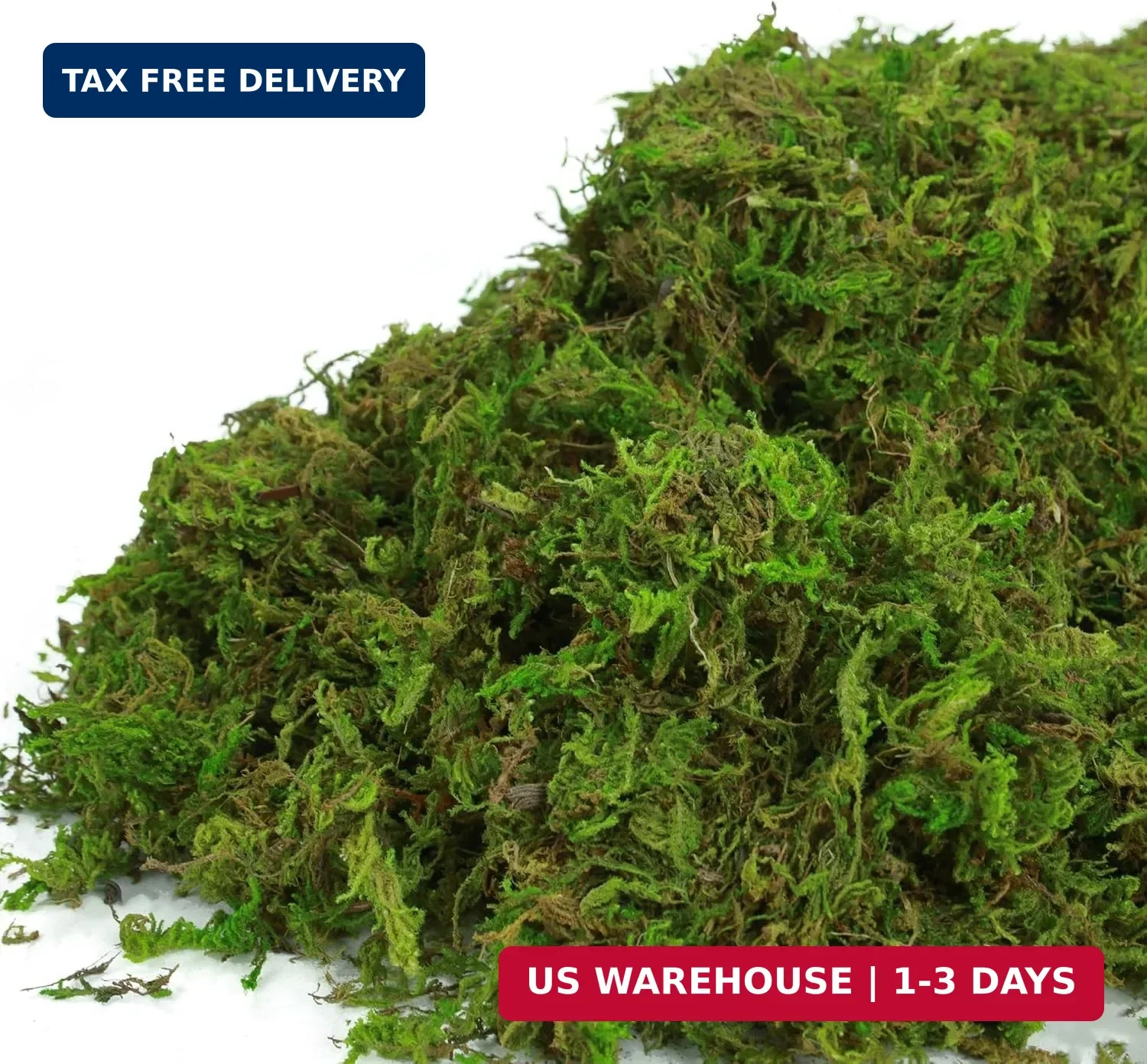 BYHER Fake Moss for Plants Indoor, 16OZ Green Moss for Crafts, Artificial Moss f