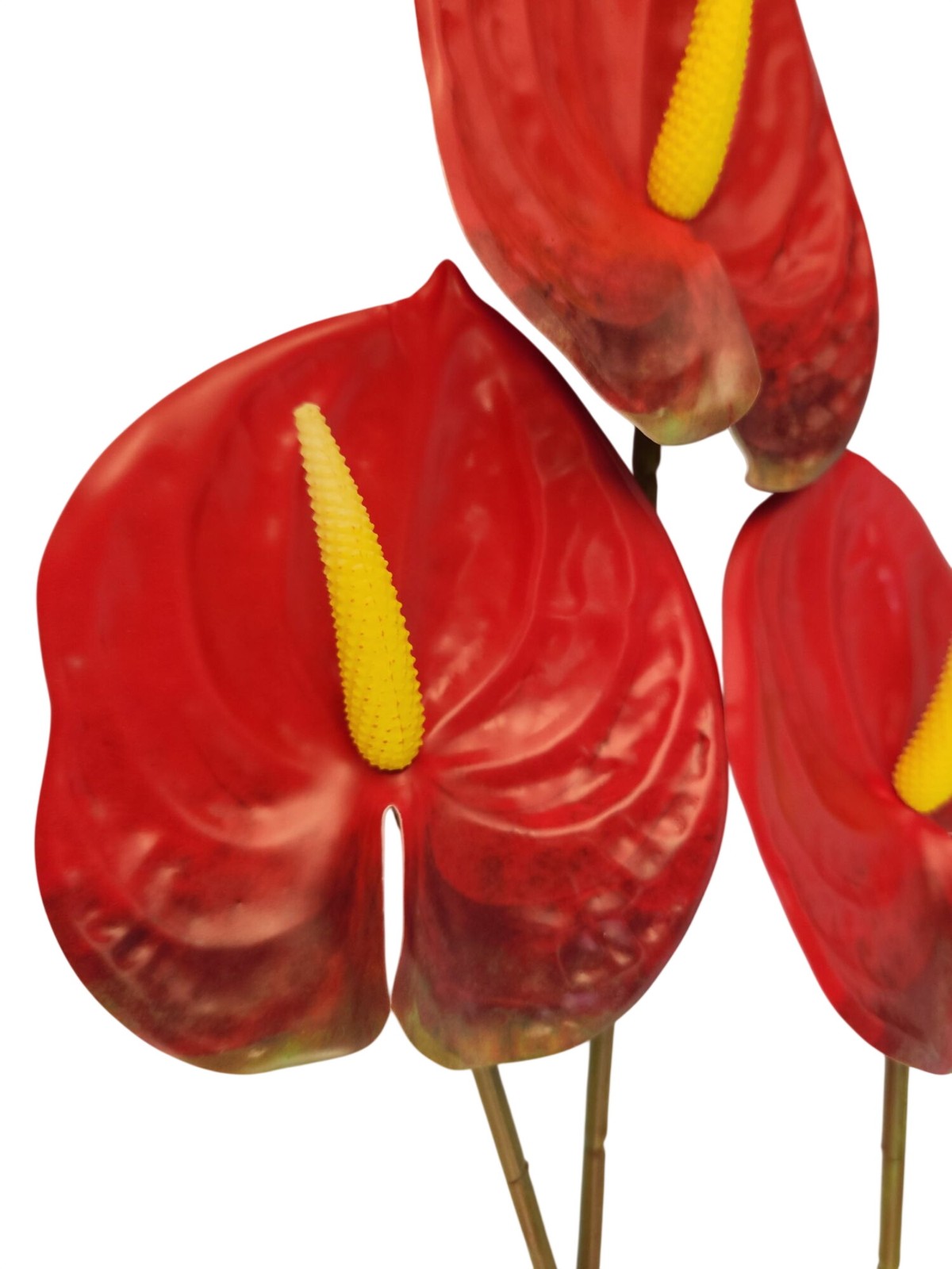 Red Artificial Anthurium Stems 23 Inch Faux Tropical Flowers Modern Home Decor