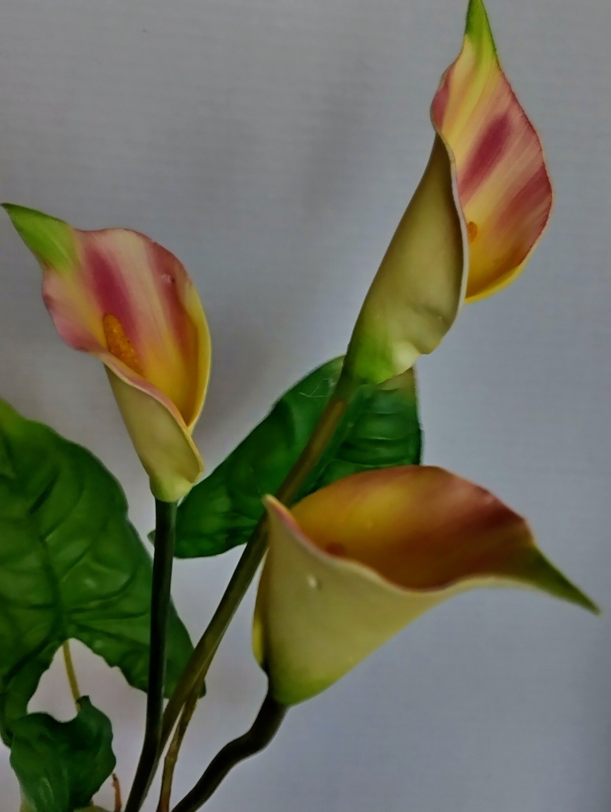 VINTAGE Calla Lily Bush