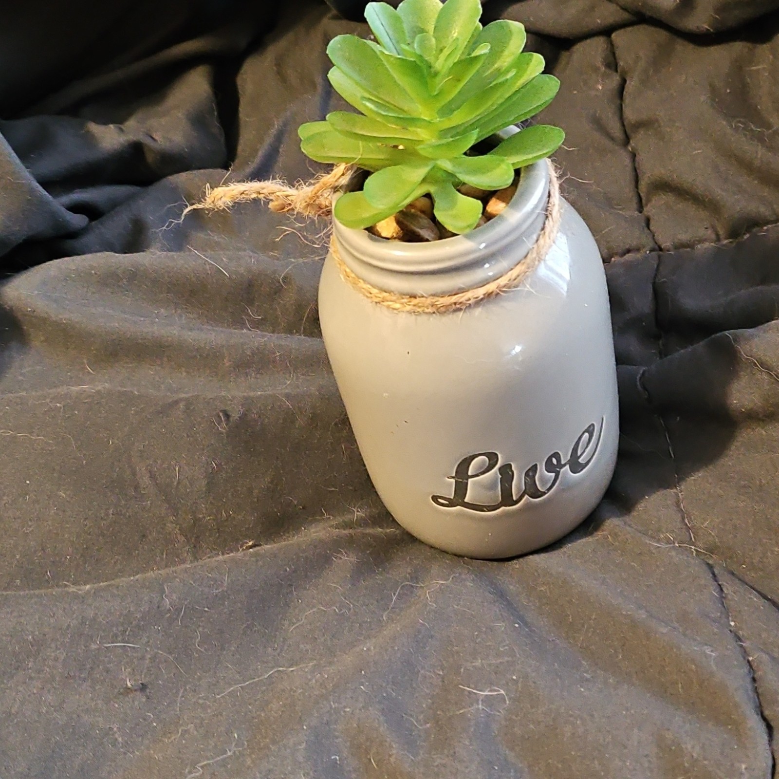 Artificial Succulent in Gray Ceramic Planter with ‘Live’ Text and Rope Accent