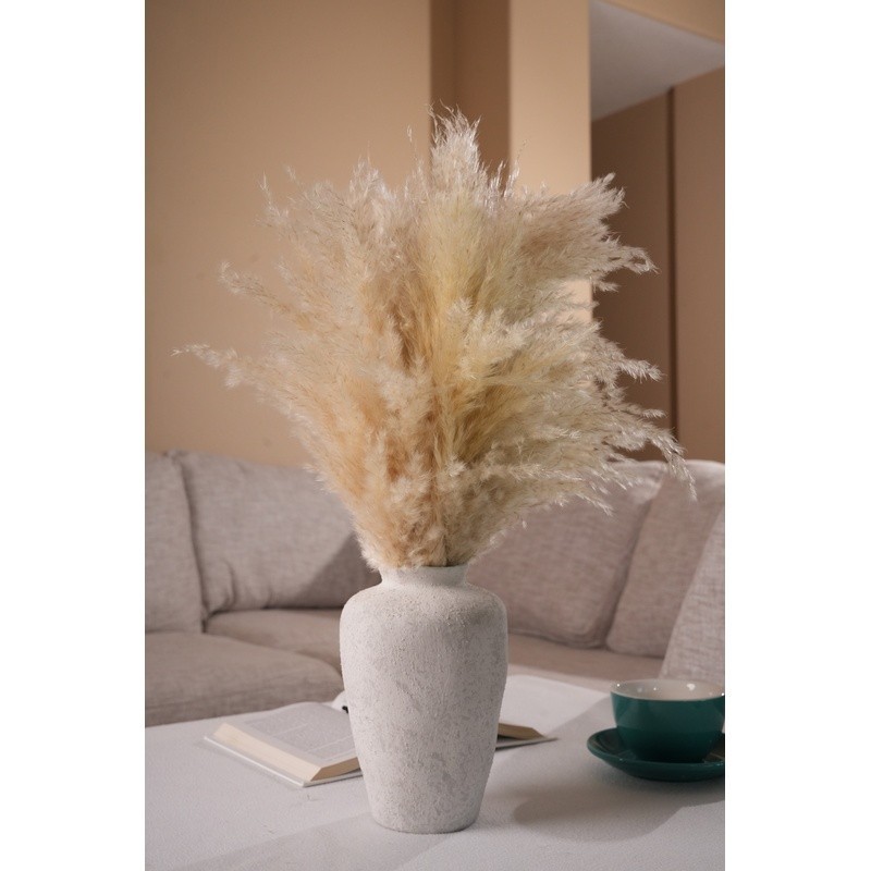 22″ Dried Pampas Grass Arrangement in Ceramic Vase Boho Home Decor Accent New