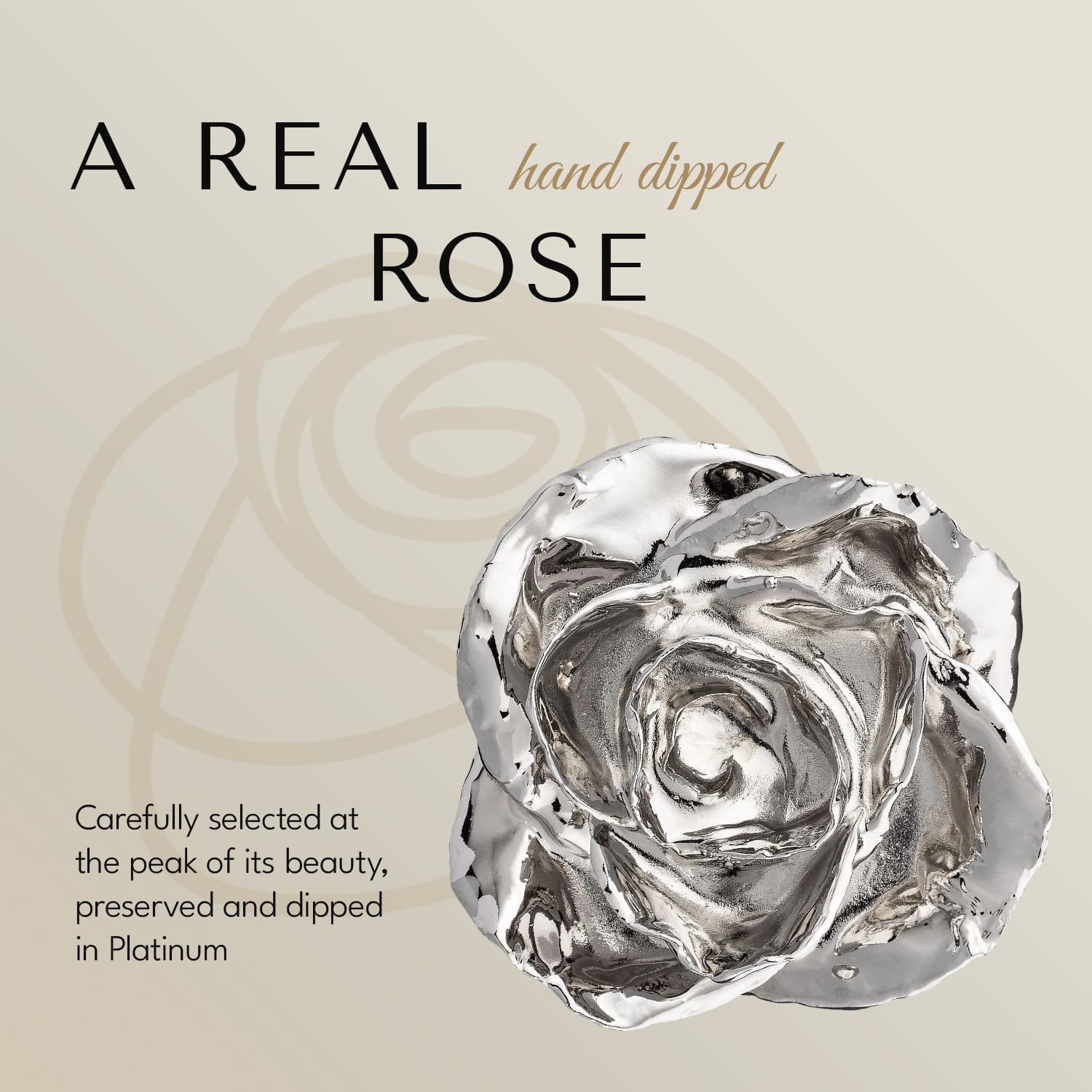 Real Rose Dipped in Platinum, Luxury Gold Gift Box | Handcrafted Preserved Rose,