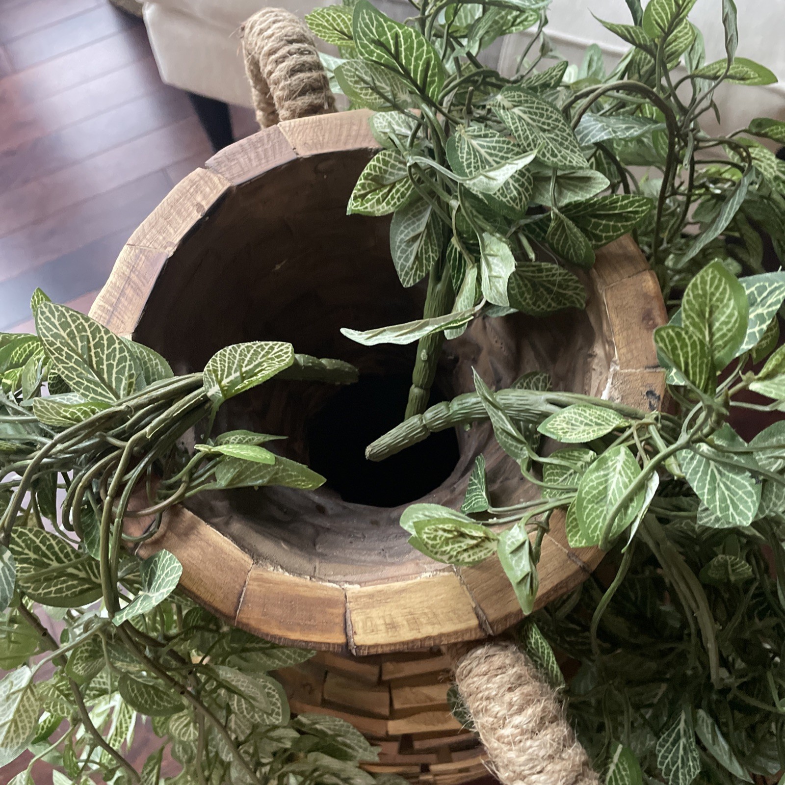 Artificial Fittonia Hanging Bush in Green Contemporary Fabric