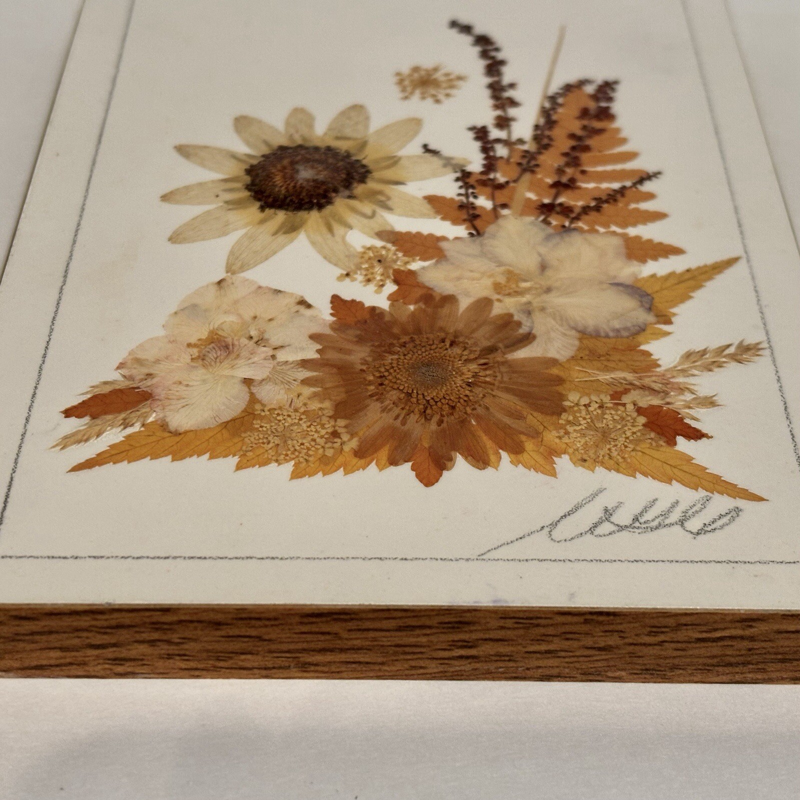 Country Girl Creations Naturally Preserved Flowers Leaves Wall Art Canada 6.5″